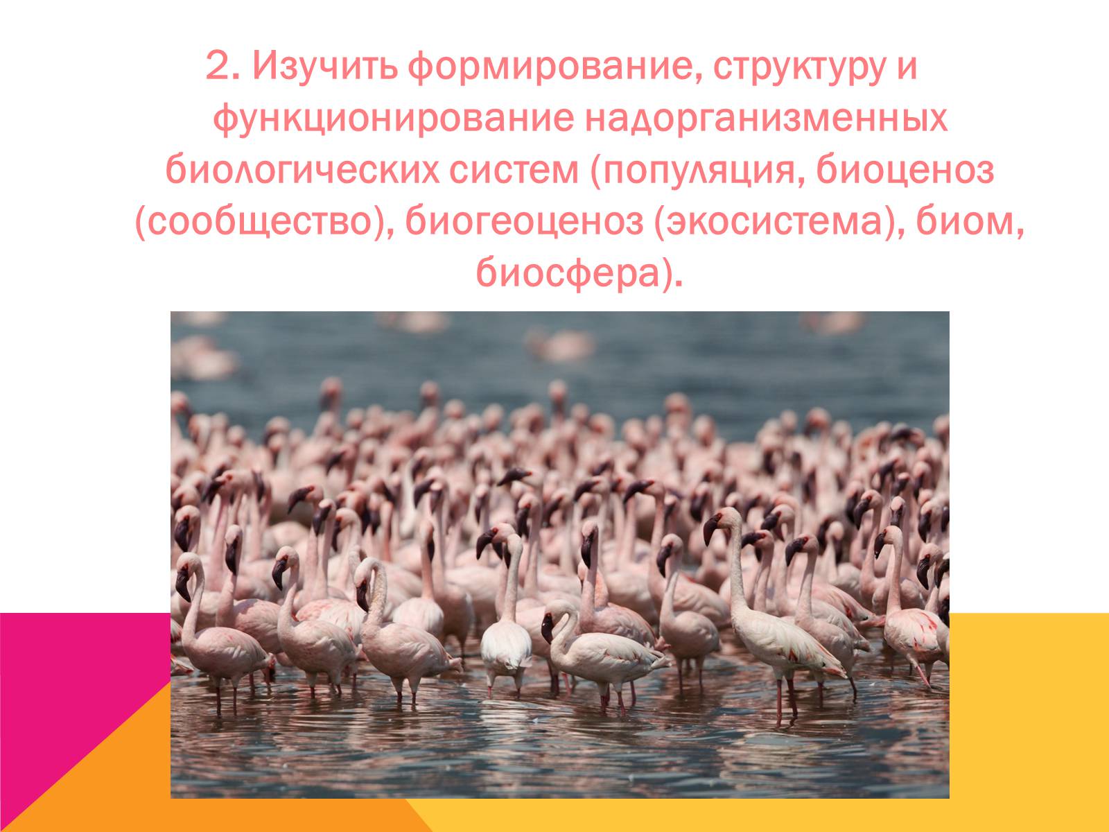 Презентація на тему «Экология, как наука: ее предмет и задачи» - Слайд #8 Презентація на тему «Экология, как наука: ее предмет и задачи» - Слайд #8
