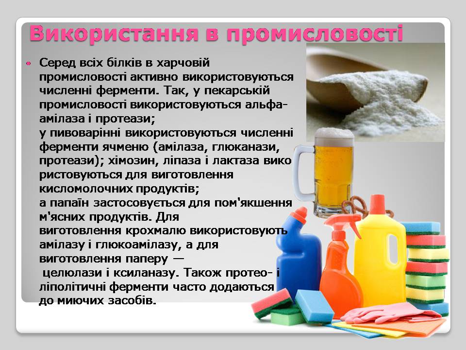 Презентація на тему «Білки» (варіант 15) - Слайд #5 Презентація на тему «Білки» (варіант 15) - Слайд #5
