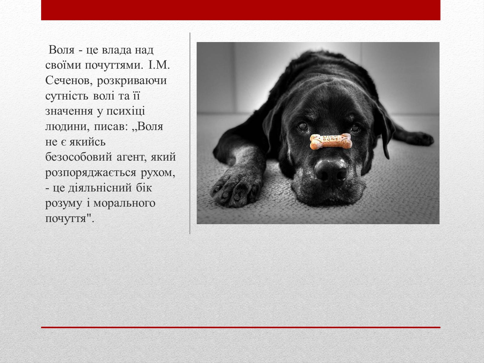 Презентація на тему «Загальне поняття про вольову діяльність людини. Розвиток сили волі» - Слайд #9 Презентація на тему «Загальне поняття про вольову діяльність людини. Розвиток сили волі» - Слайд #9