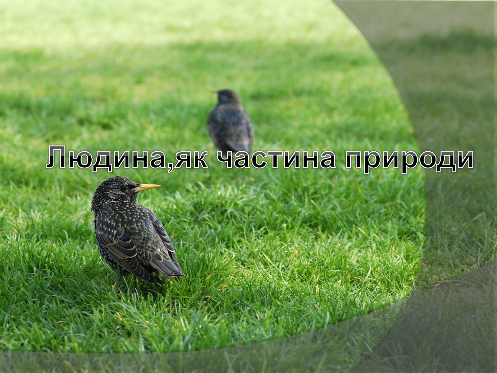 Презентація на тему «Людина як частина природи» - Слайд #1 Презентація на тему «Людина як частина природи» - Слайд #1
