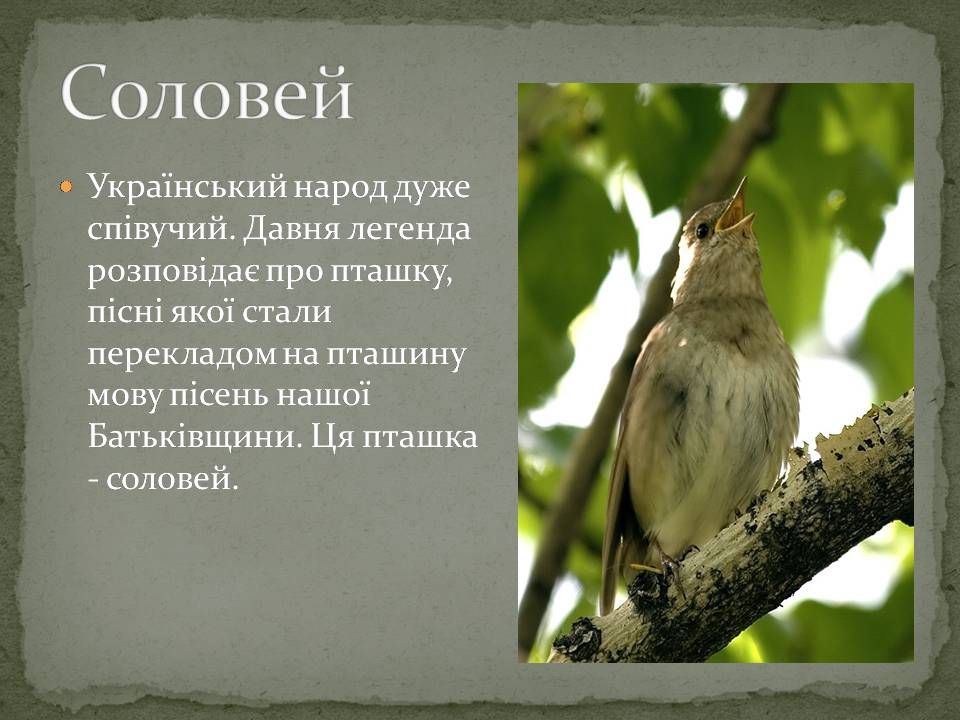 Презентація на тему «Народні символи України» (варіант 2) - Слайд #10 Презентація на тему «Народні символи України» (варіант 2) - Слайд #10