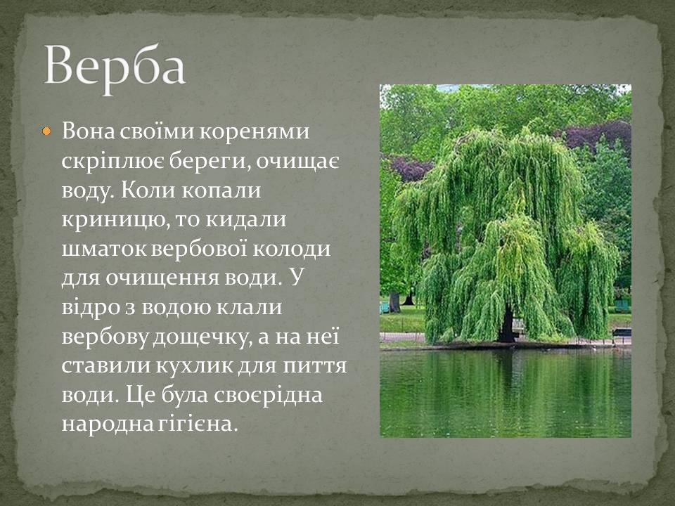Презентація на тему «Народні символи України» (варіант 2) - Слайд #2 Презентація на тему «Народні символи України» (варіант 2) - Слайд #2