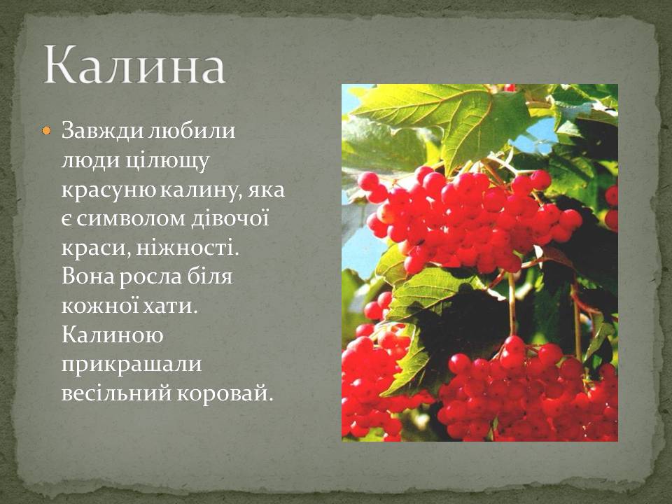 Презентація на тему «Народні символи України» (варіант 2) - Слайд #4 Презентація на тему «Народні символи України» (варіант 2) - Слайд #4