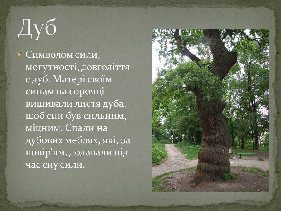 Презентація на тему «Народні символи України» (варіант 2) - Слайд #5 Презентація на тему «Народні символи України» (варіант 2) - Слайд #5