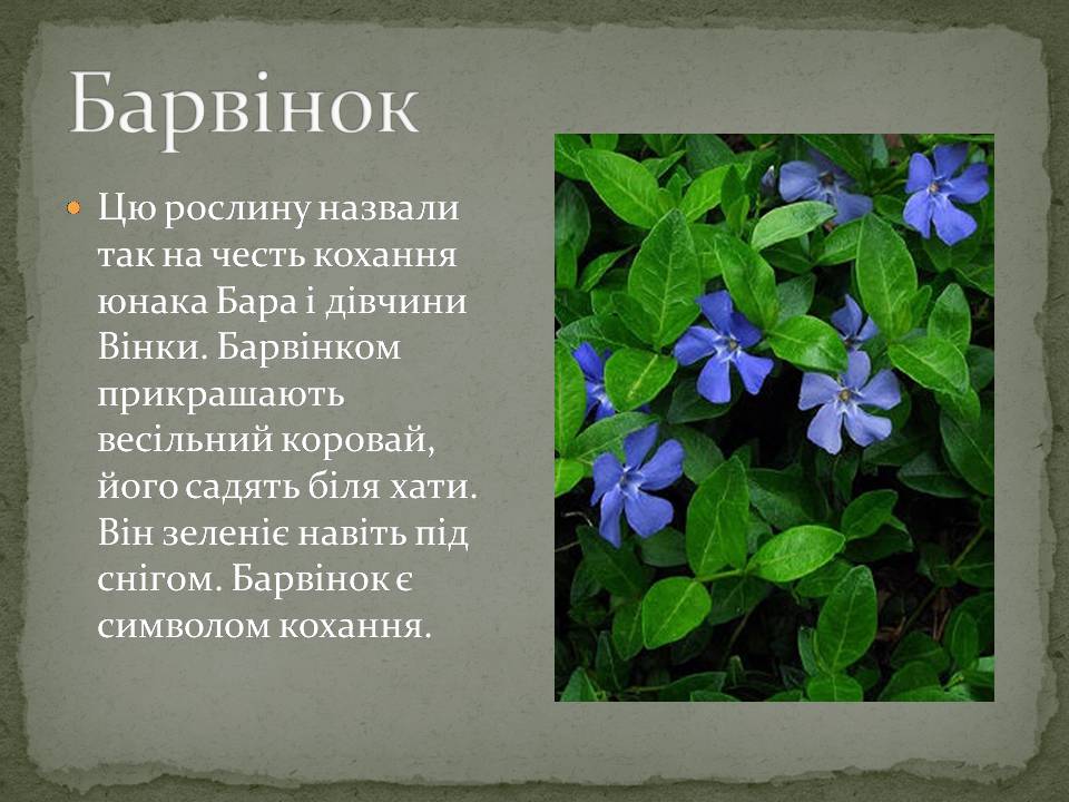 Презентація на тему «Народні символи України» (варіант 2) - Слайд #6 Презентація на тему «Народні символи України» (варіант 2) - Слайд #6