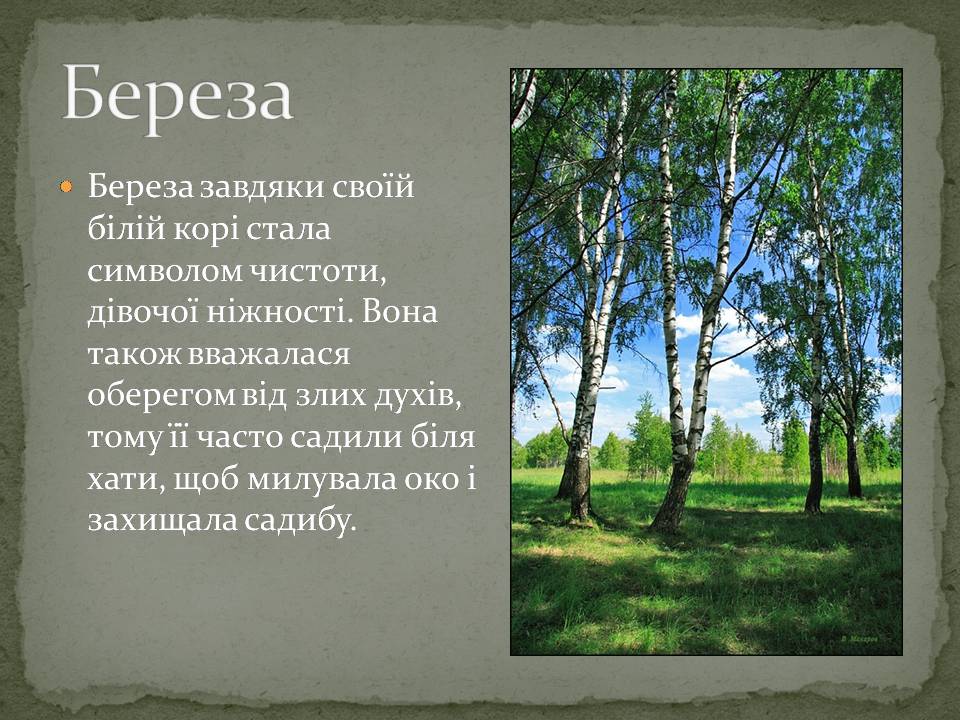 Презентація на тему «Народні символи України» (варіант 2) - Слайд #7 Презентація на тему «Народні символи України» (варіант 2) - Слайд #7