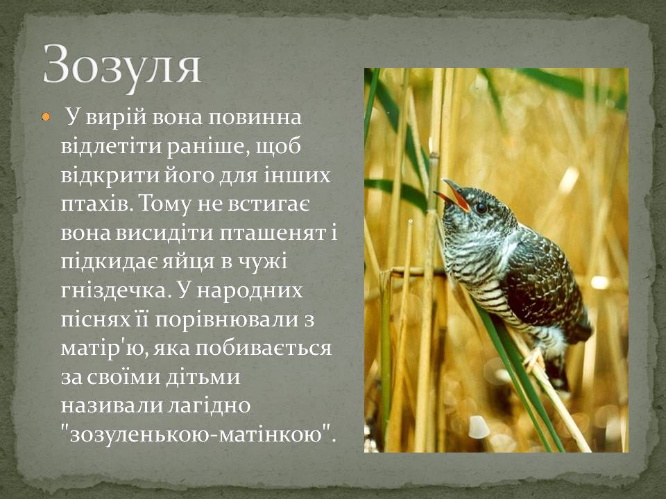 Презентація на тему «Народні символи України» (варіант 2) - Слайд #9 Презентація на тему «Народні символи України» (варіант 2) - Слайд #9