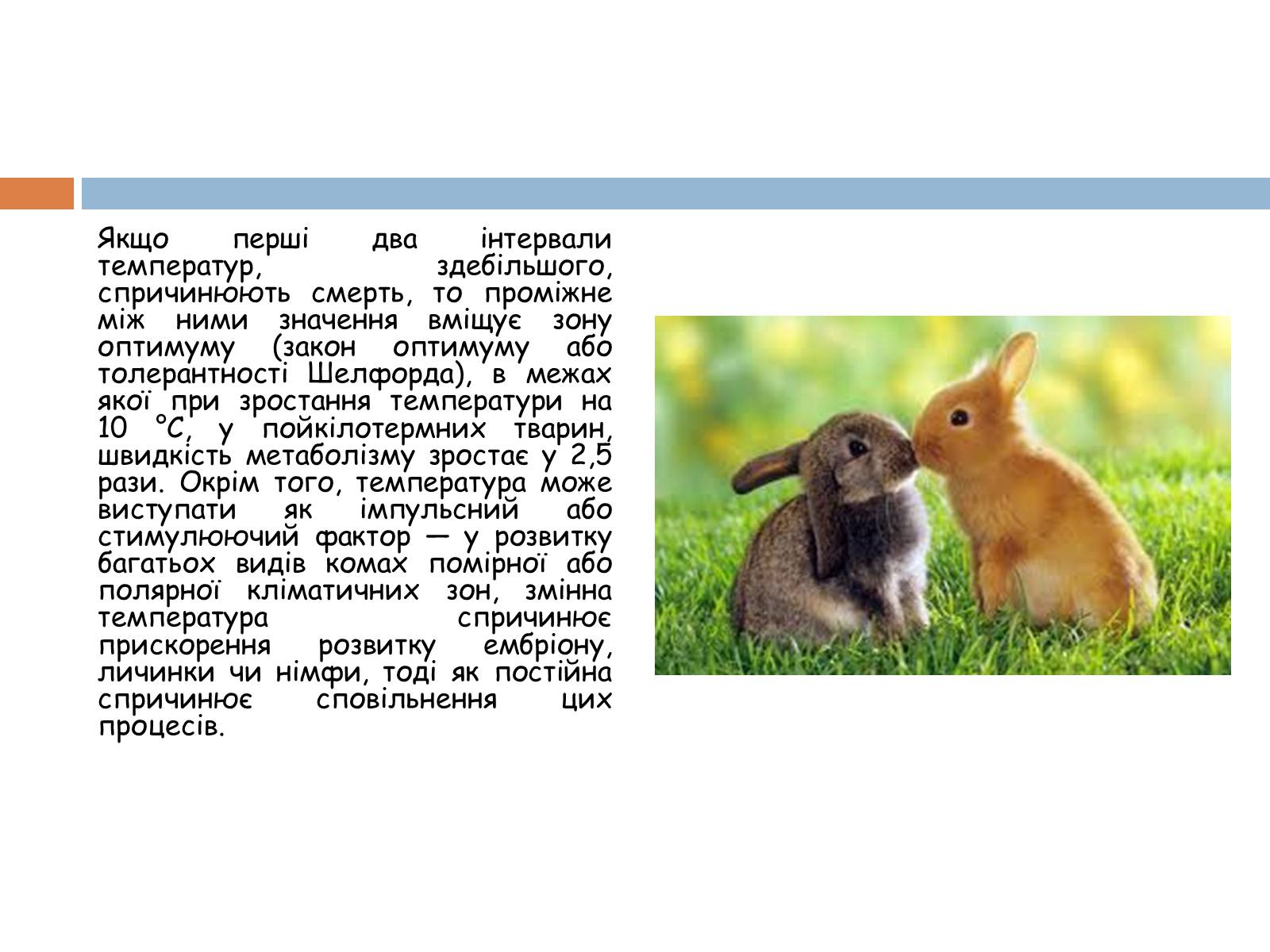 Презентація на тему «Екологічні фактори» (варіант 2) - Слайд #13 Презентація на тему «Екологічні фактори» (варіант 2) - Слайд #13