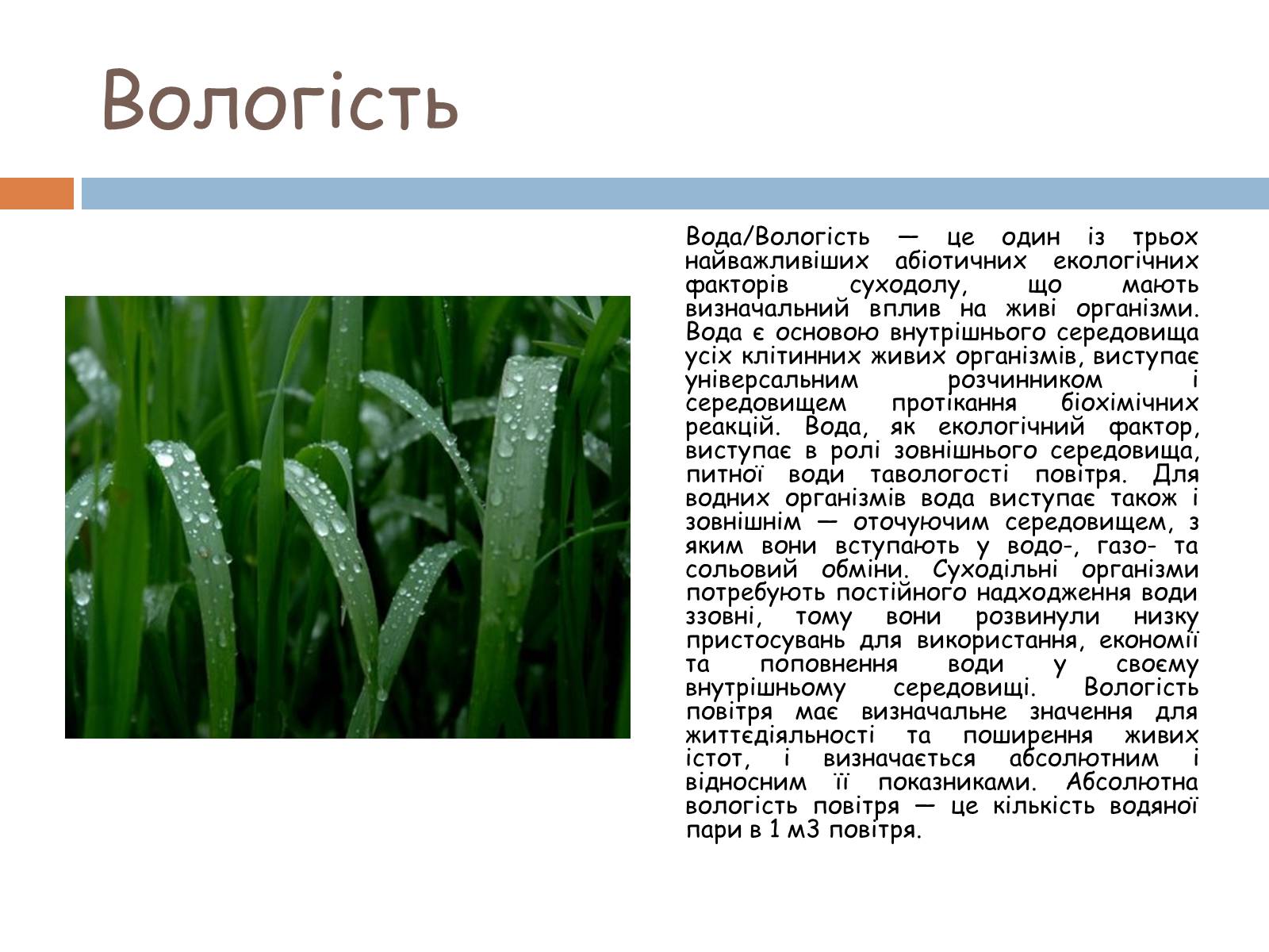 Презентація на тему «Екологічні фактори» (варіант 2) - Слайд #14 Презентація на тему «Екологічні фактори» (варіант 2) - Слайд #14