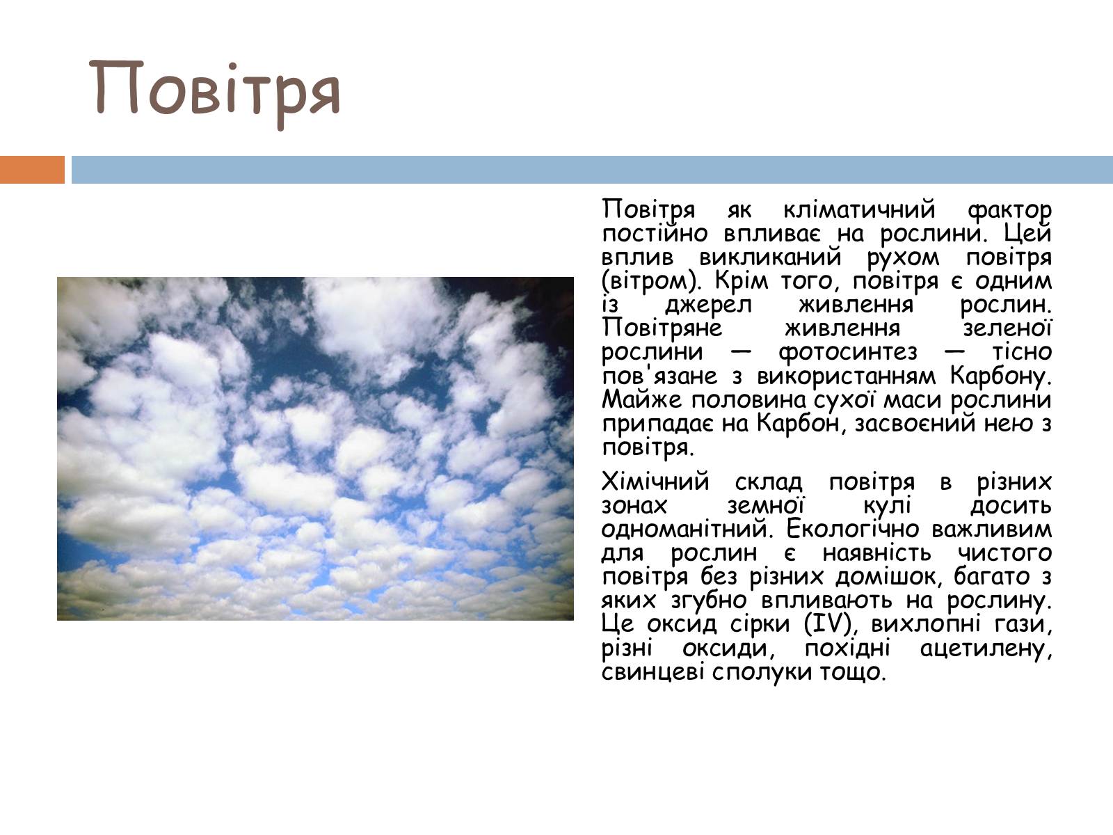 Презентація на тему «Екологічні фактори» (варіант 2) - Слайд #16 Презентація на тему «Екологічні фактори» (варіант 2) - Слайд #16