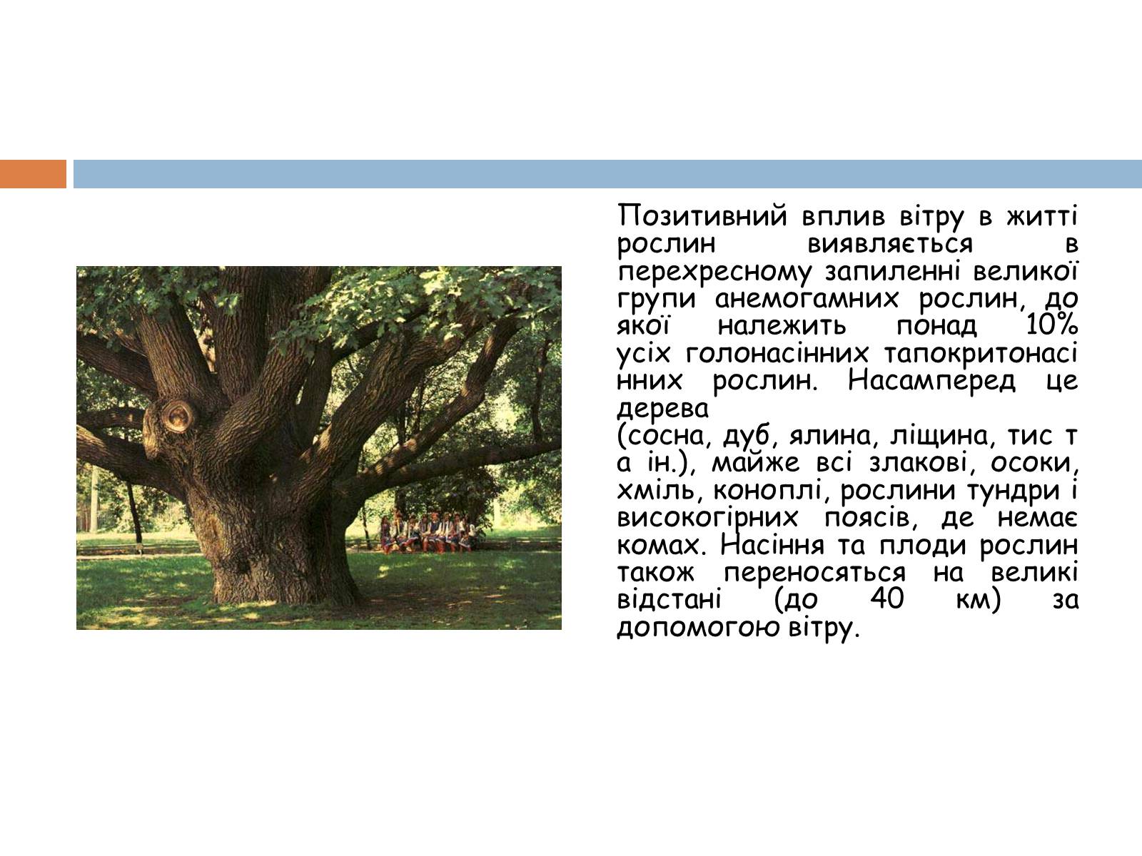 Презентація на тему «Екологічні фактори» (варіант 2) - Слайд #18 Презентація на тему «Екологічні фактори» (варіант 2) - Слайд #18