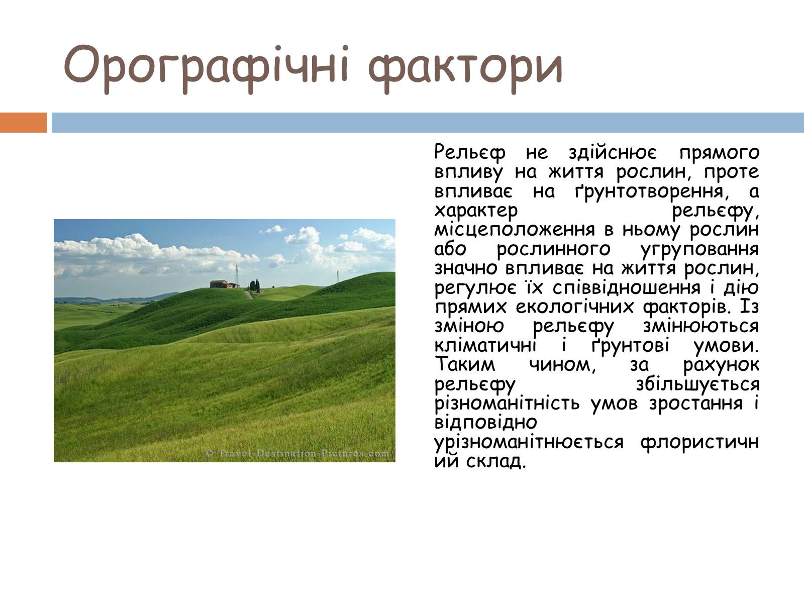 Презентація на тему «Екологічні фактори» (варіант 2) - Слайд #20 Презентація на тему «Екологічні фактори» (варіант 2) - Слайд #20