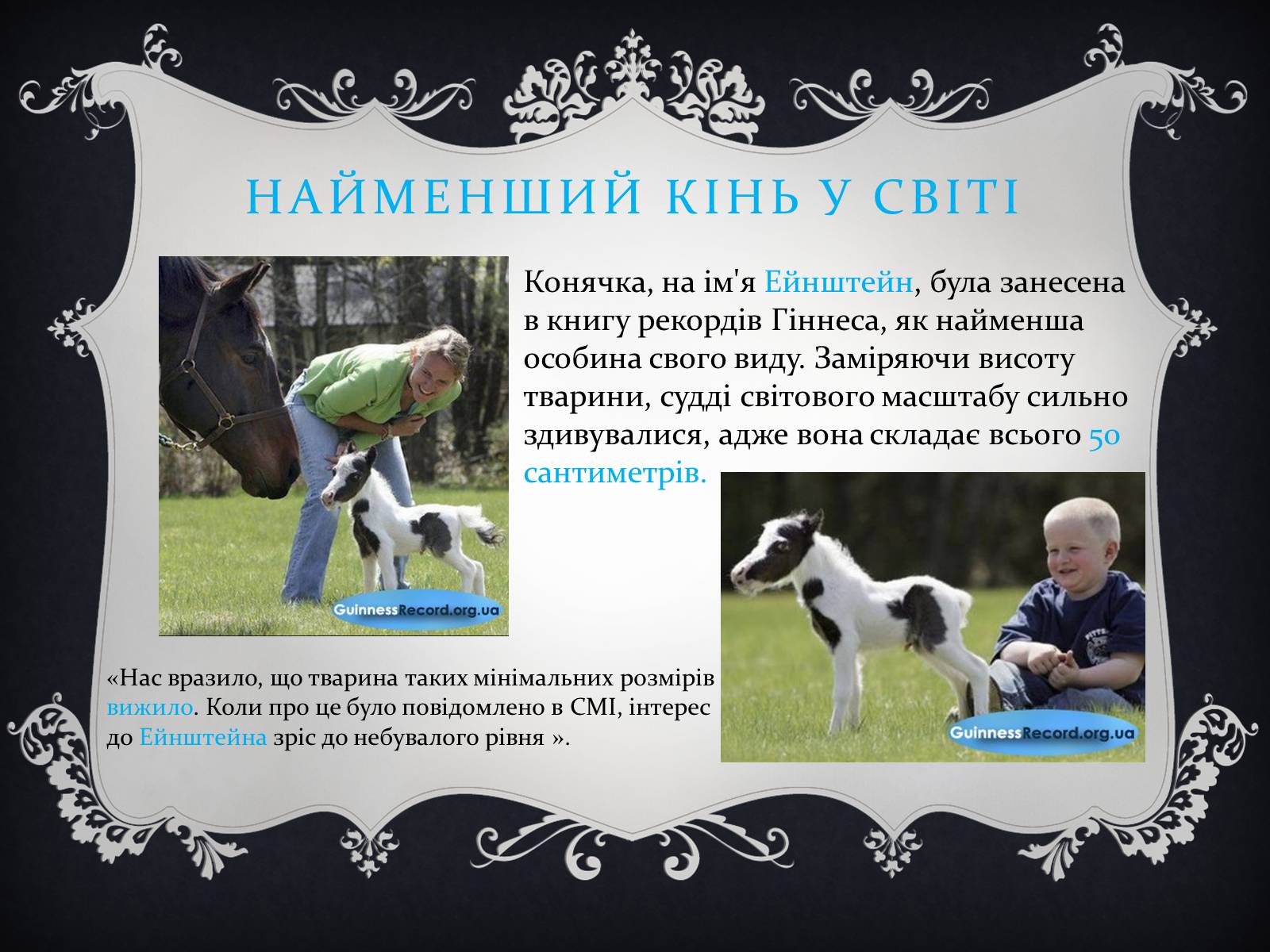 Презентація на тему «Цікаві факти з книги рекордів Гіннеса» - Слайд #13 Презентація на тему «Цікаві факти з книги рекордів Гіннеса» - Слайд #13