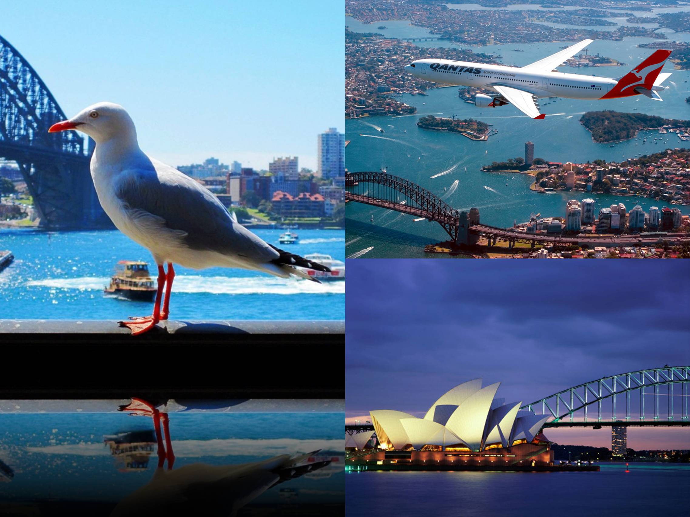 Презентація на тему «Australia» (варіант 4) - Слайд #14 Презентація на тему «Australia» (варіант 4) - Слайд #14