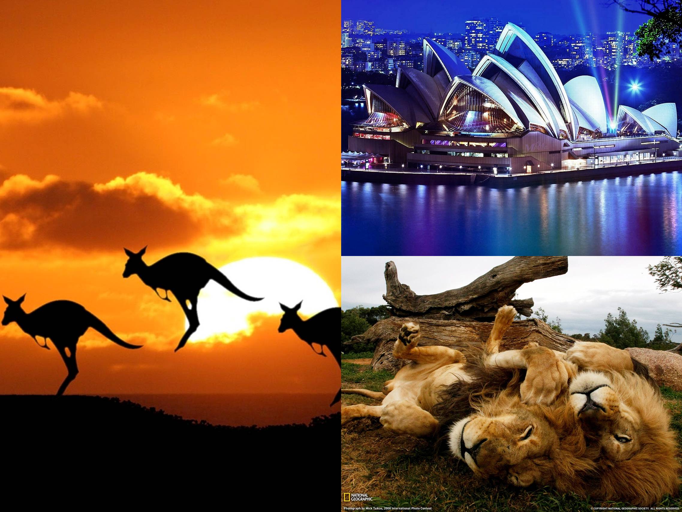 Презентація на тему «Australia» (варіант 4) - Слайд #7 Презентація на тему «Australia» (варіант 4) - Слайд #7