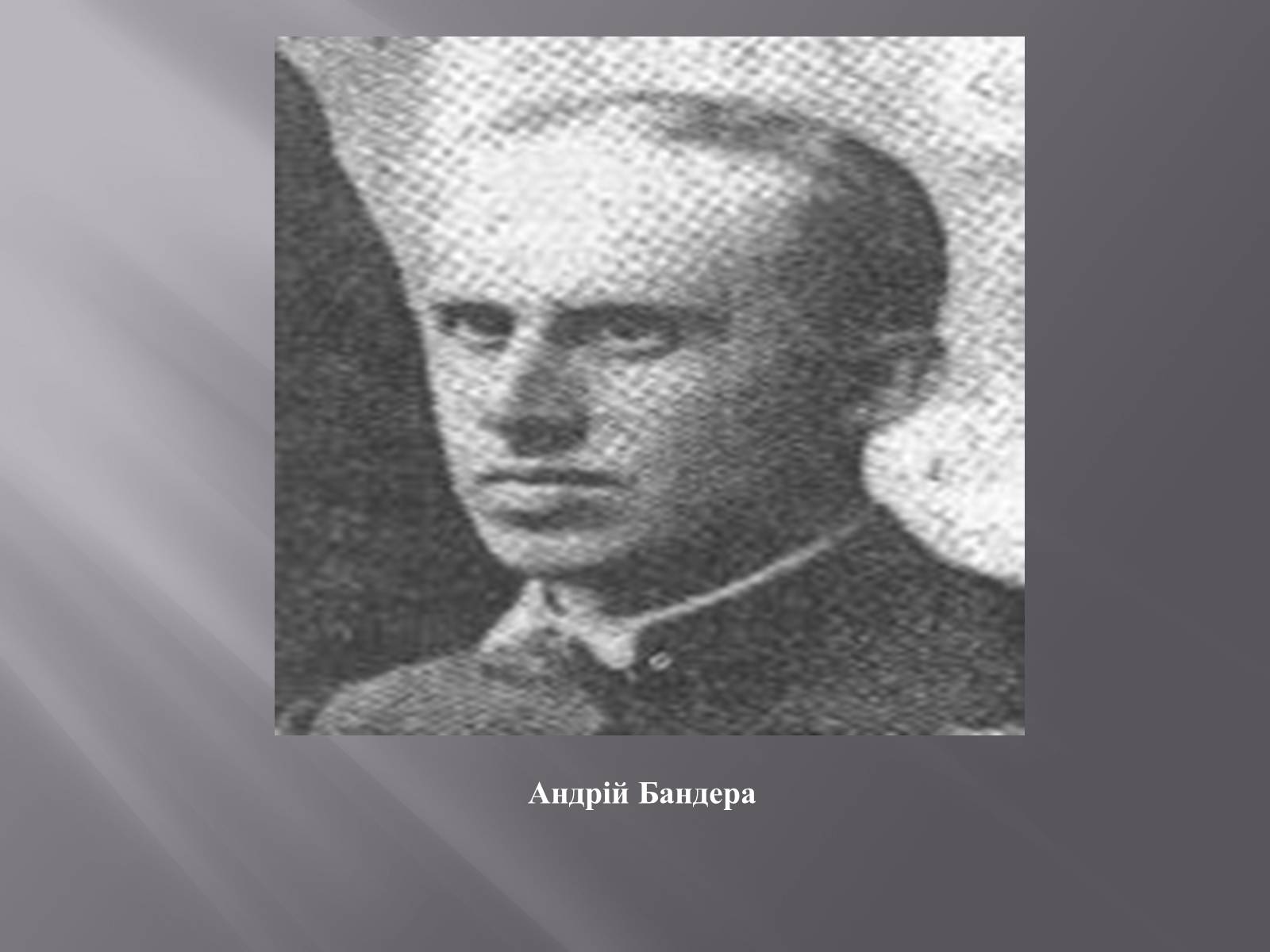 Презентація на тему «Львівський національний університет імені Івана Франка» - Слайд #9 Презентація на тему «Львівський національний університет імені Івана Франка» - Слайд #9