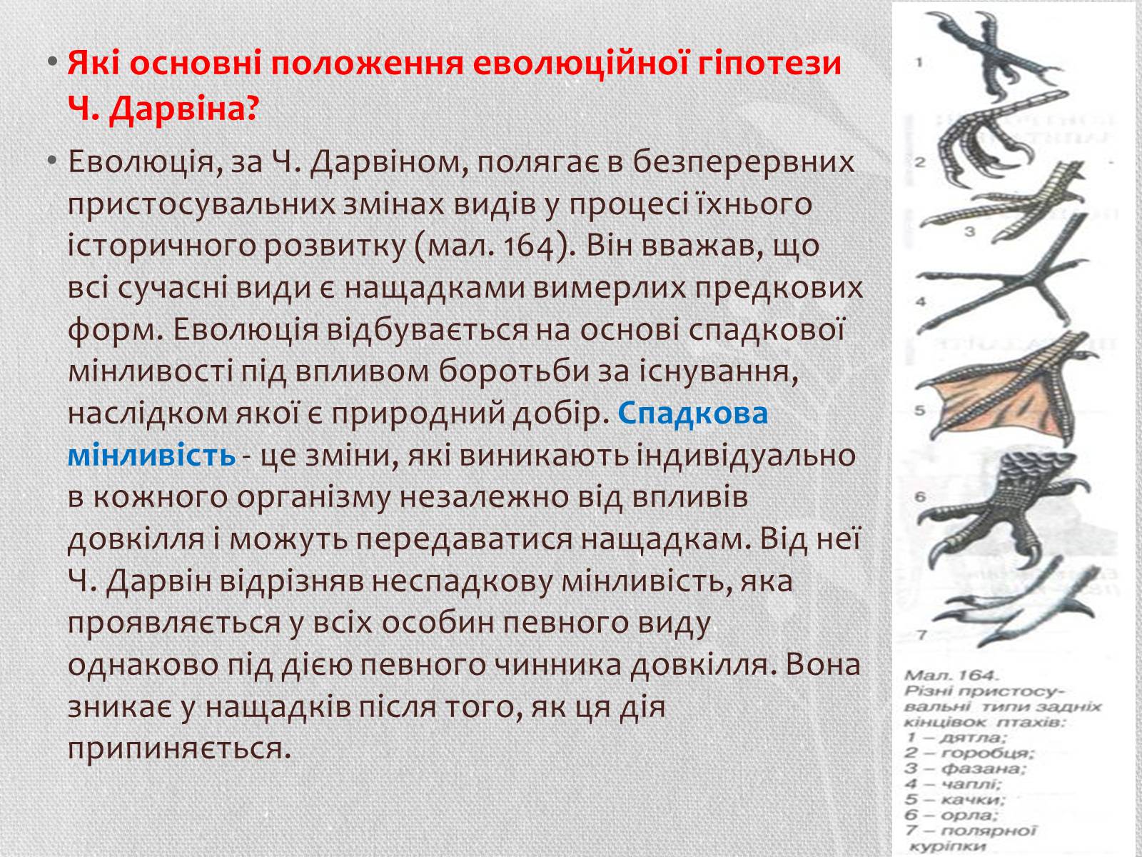 Презентація на тему «Чарльз Дарвін» - Слайд #8 Презентація на тему «Чарльз Дарвін» - Слайд #8