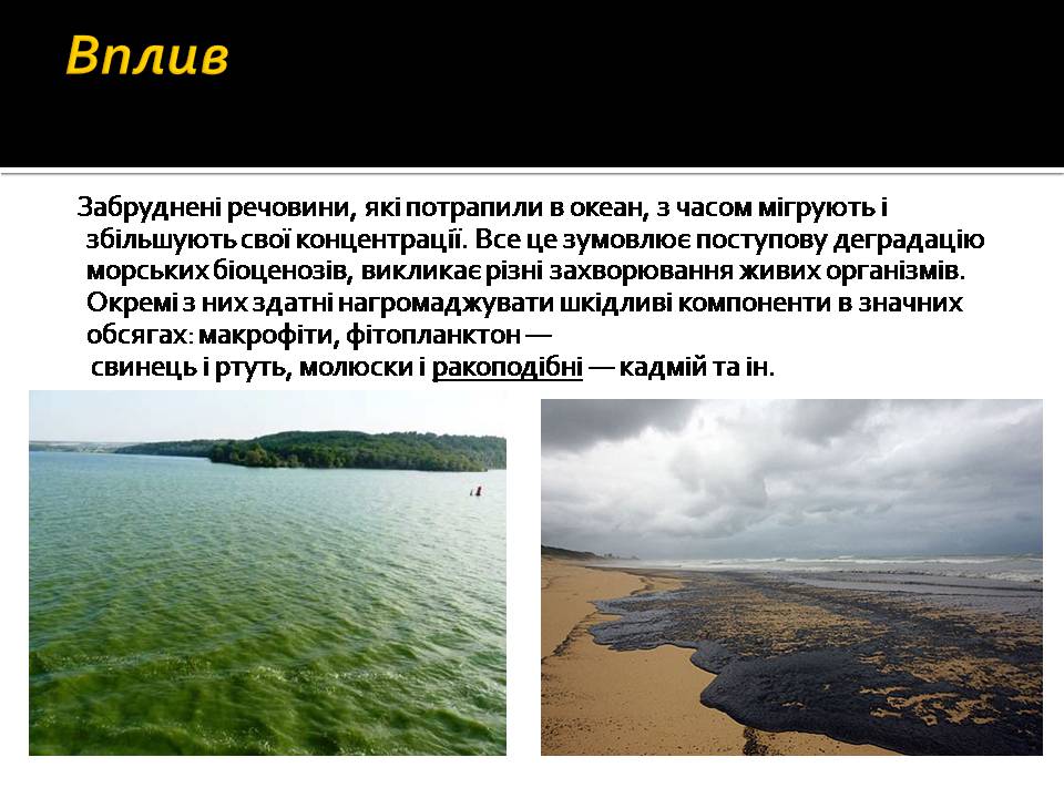 Презентація на тему «Забруднення океанів» - Слайд #8 Презентація на тему «Забруднення океанів» - Слайд #8