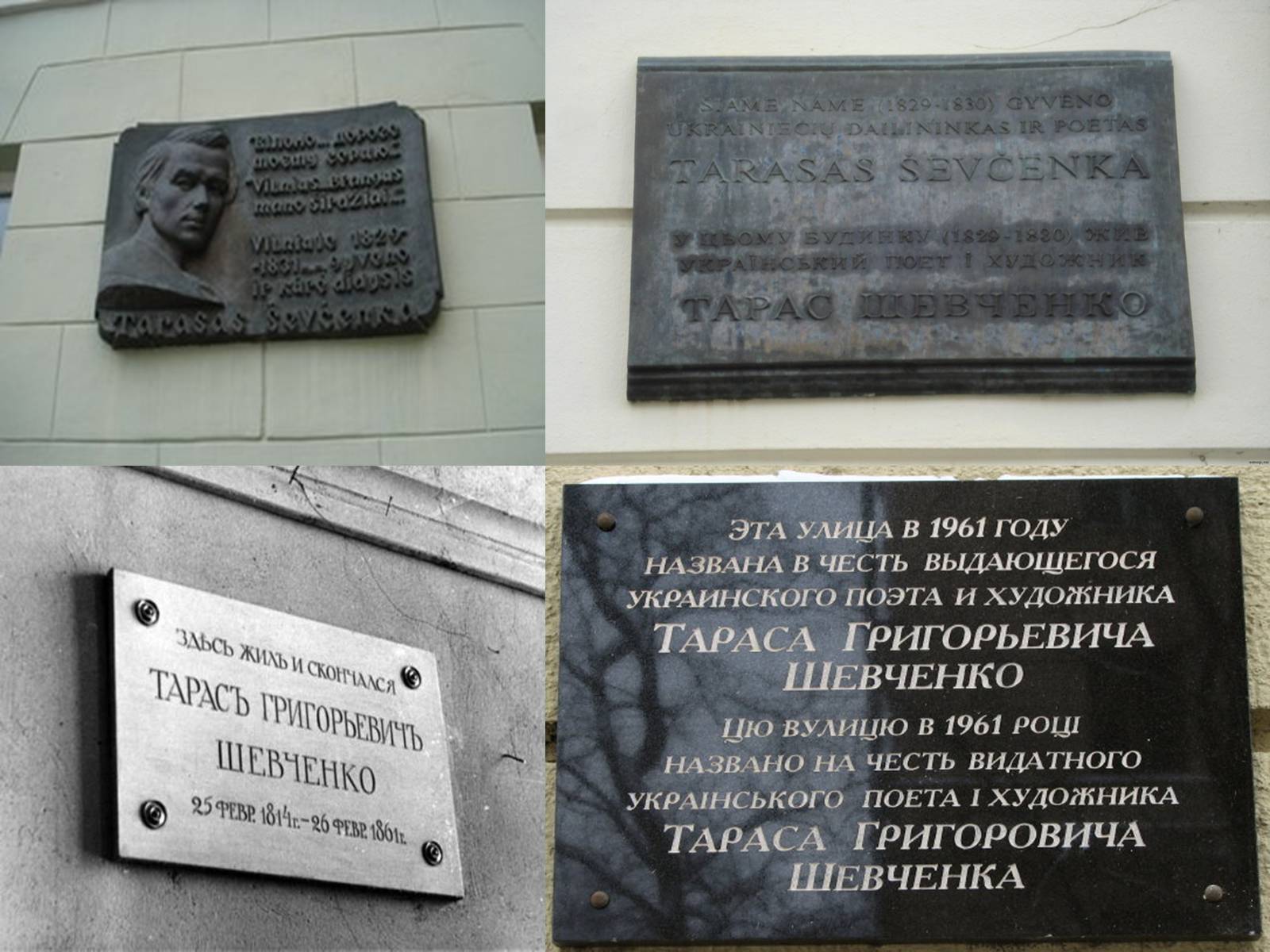 Презентація на тему «Вшанування пам’яті Тараса Шевченка» (варіант 2) - Слайд #8 Презентація на тему «Вшанування пам’яті Тараса Шевченка» (варіант 2) - Слайд #8