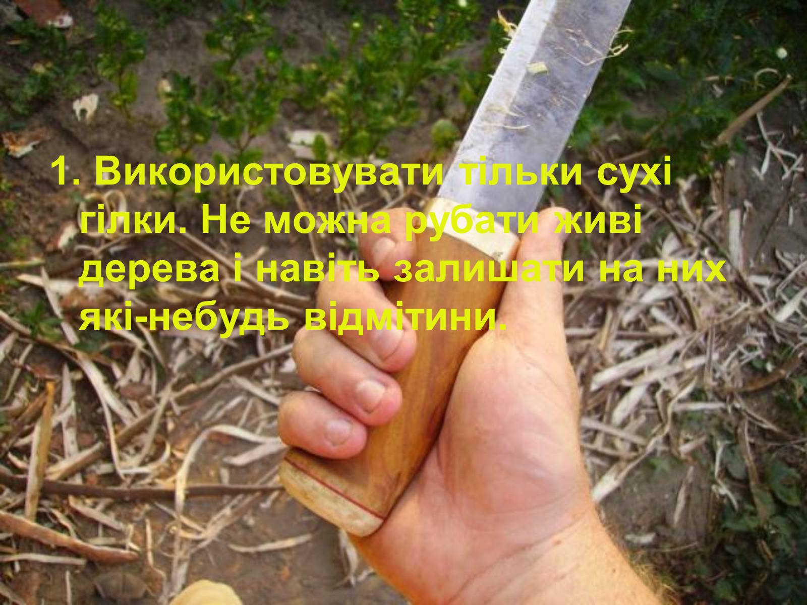 Презентація на тему «Правила поведінки в природі» - Слайд #3 Презентація на тему «Правила поведінки в природі» - Слайд #3