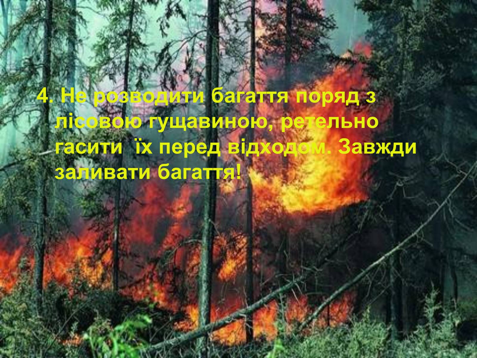 Презентація на тему «Правила поведінки в природі» - Слайд #5 Презентація на тему «Правила поведінки в природі» - Слайд #5