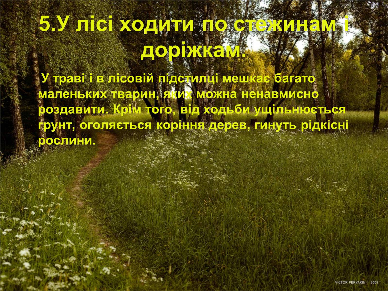 Презентація на тему «Правила поведінки в природі» - Слайд #6 Презентація на тему «Правила поведінки в природі» - Слайд #6