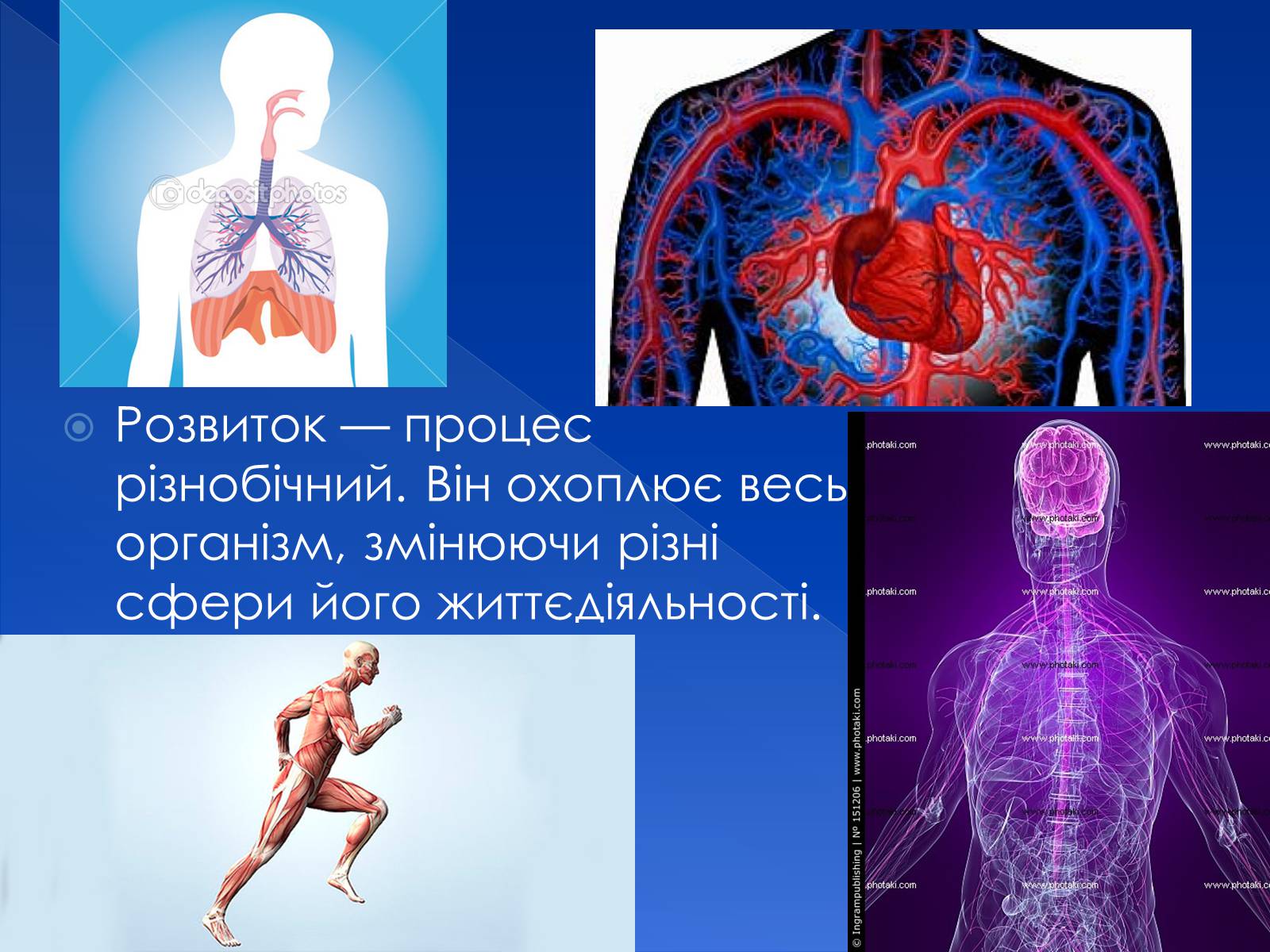 Презентація на тему «Фізіологічна та соціологічна зрілість» - Слайд #7 Презентація на тему «Фізіологічна та соціологічна зрілість» - Слайд #7