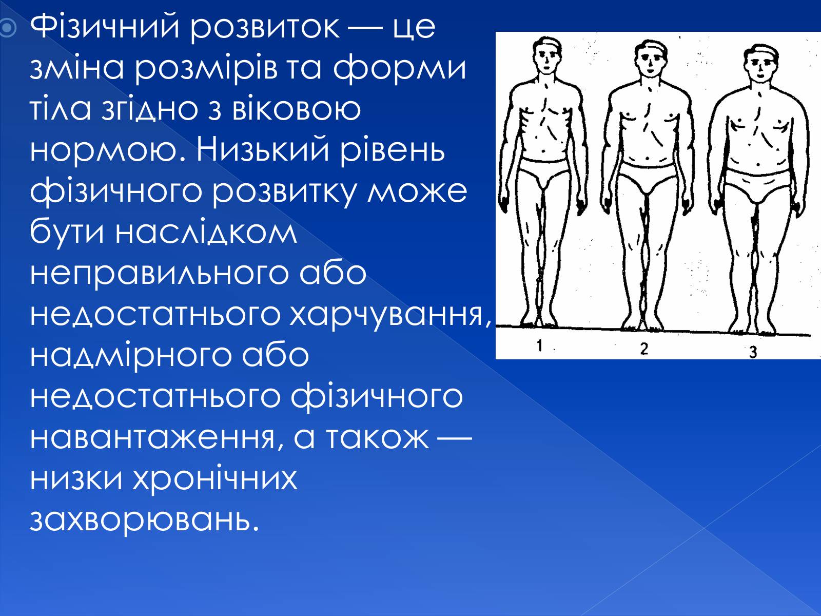 Презентація на тему «Фізіологічна та соціологічна зрілість» - Слайд #8 Презентація на тему «Фізіологічна та соціологічна зрілість» - Слайд #8