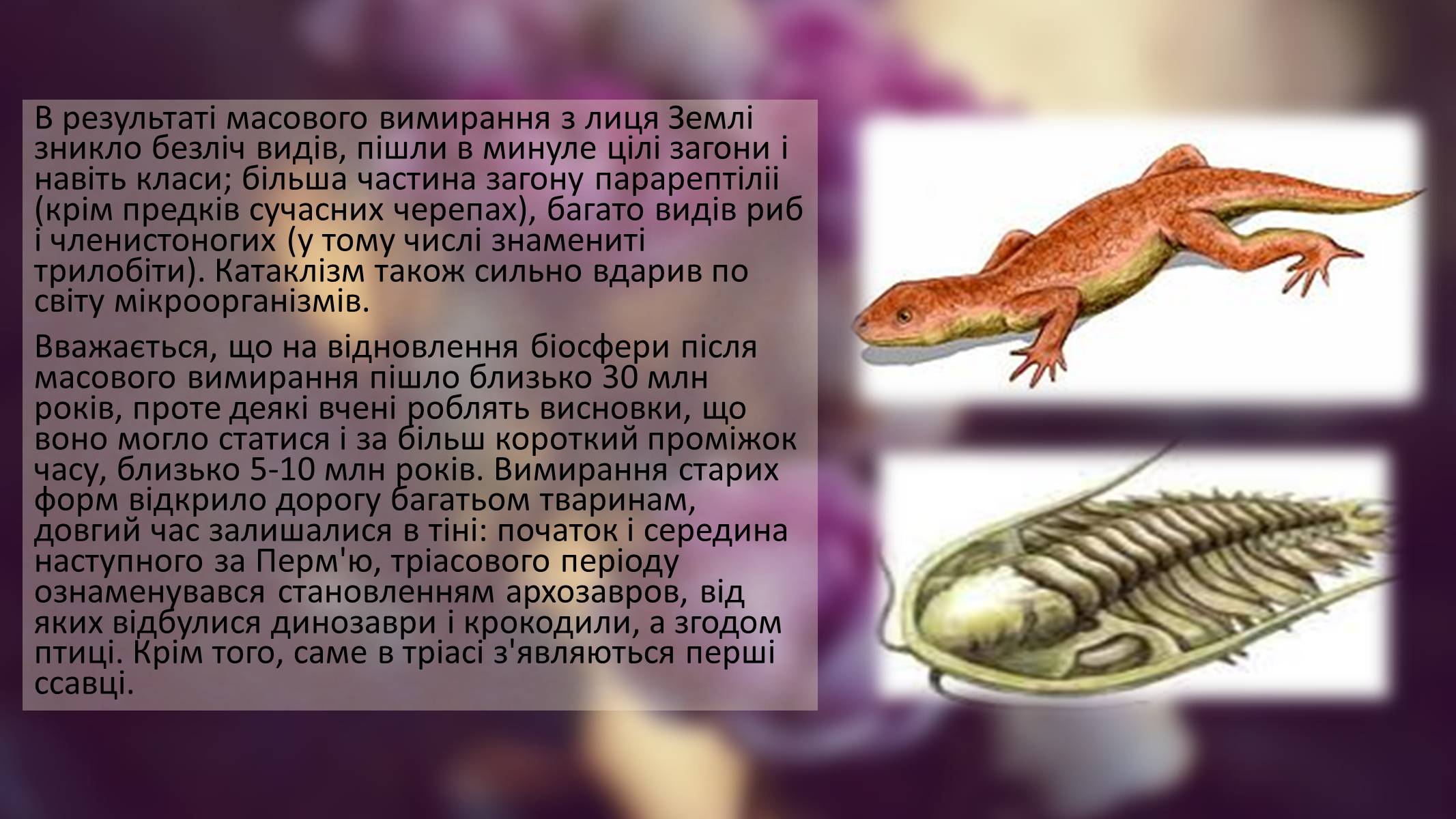 Презентація на тему «Гіпотези неокатастрофізму» - Слайд #6 Презентація на тему «Гіпотези неокатастрофізму» - Слайд #6
