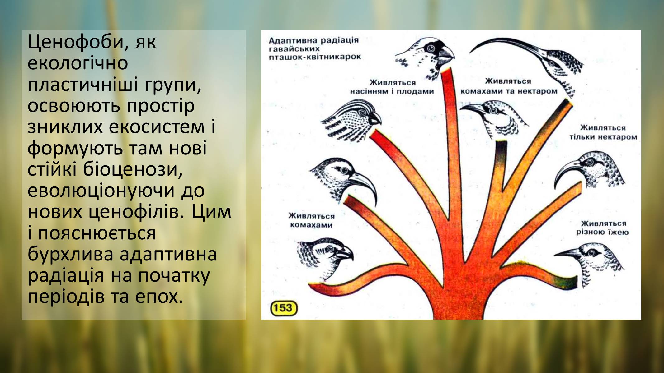 Презентація на тему «Гіпотези неокатастрофізму» - Слайд #8 Презентація на тему «Гіпотези неокатастрофізму» - Слайд #8