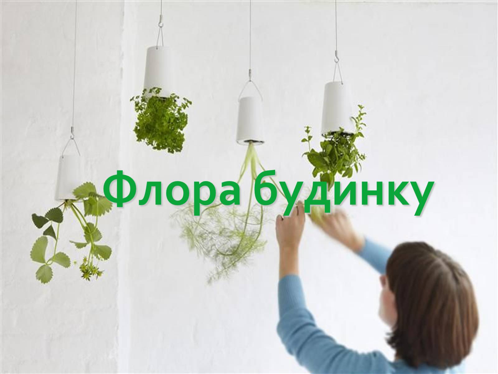 Презентація на тему «Екологічний будинок» (варіант 2) - Слайд #18 Презентація на тему «Екологічний будинок» (варіант 2) - Слайд #18
