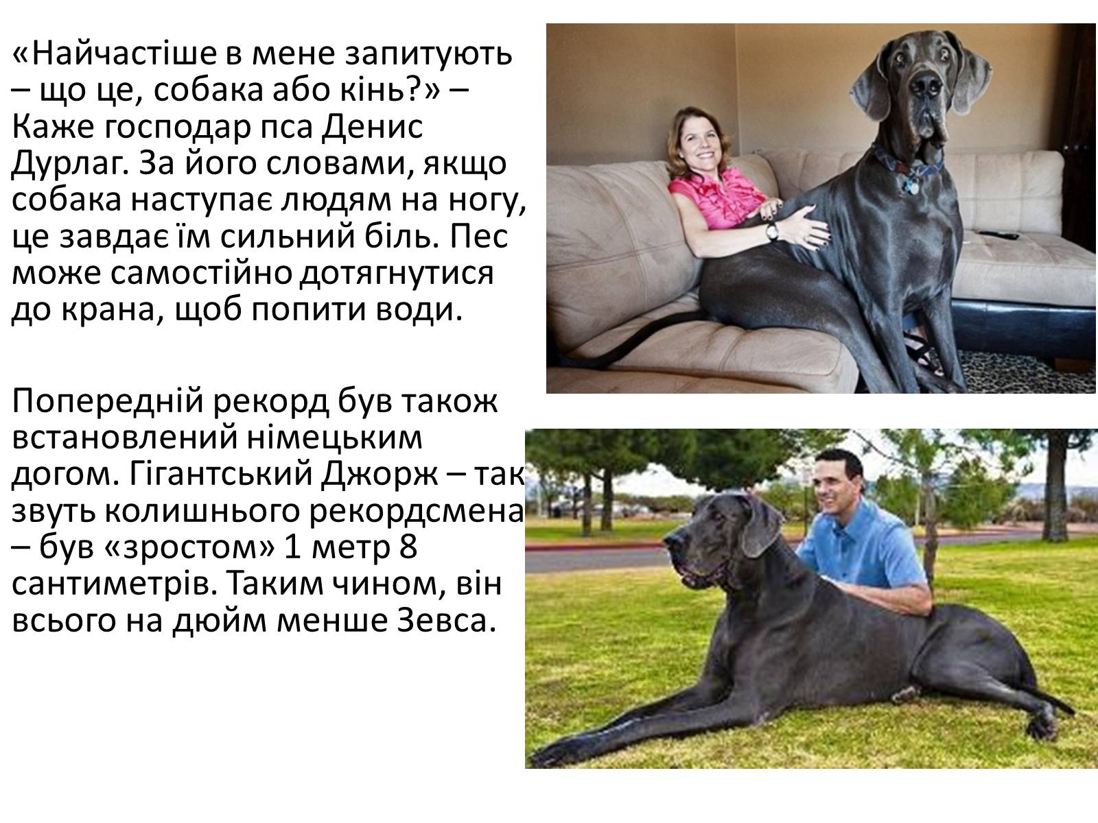 Презентація на тему «Рекорди Гінеса рослин і тварин» - Слайд #3 Презентація на тему «Рекорди Гінеса рослин і тварин» - Слайд #3