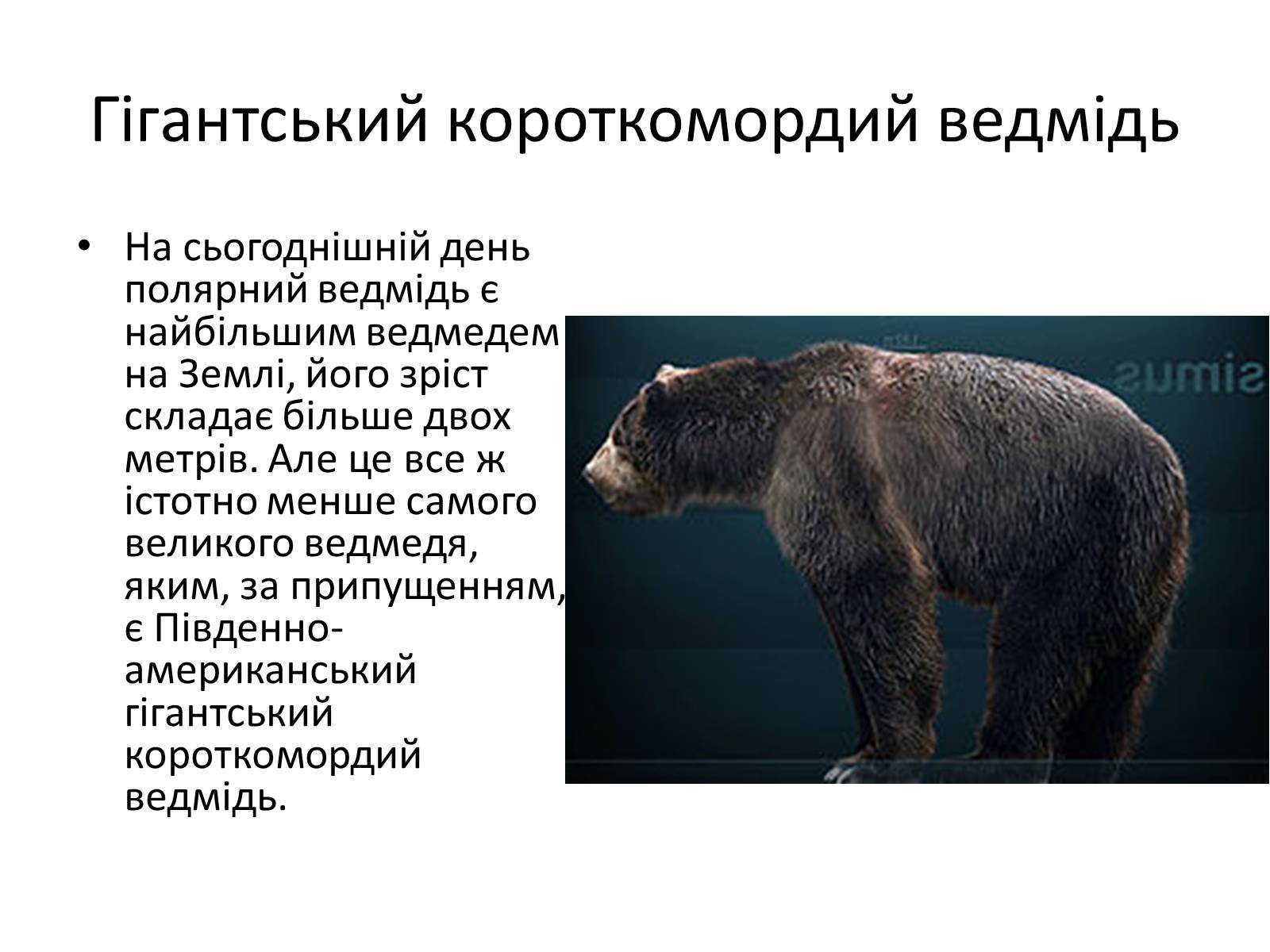 Презентація на тему «Рекорди Гінеса рослин і тварин» - Слайд #7 Презентація на тему «Рекорди Гінеса рослин і тварин» - Слайд #7