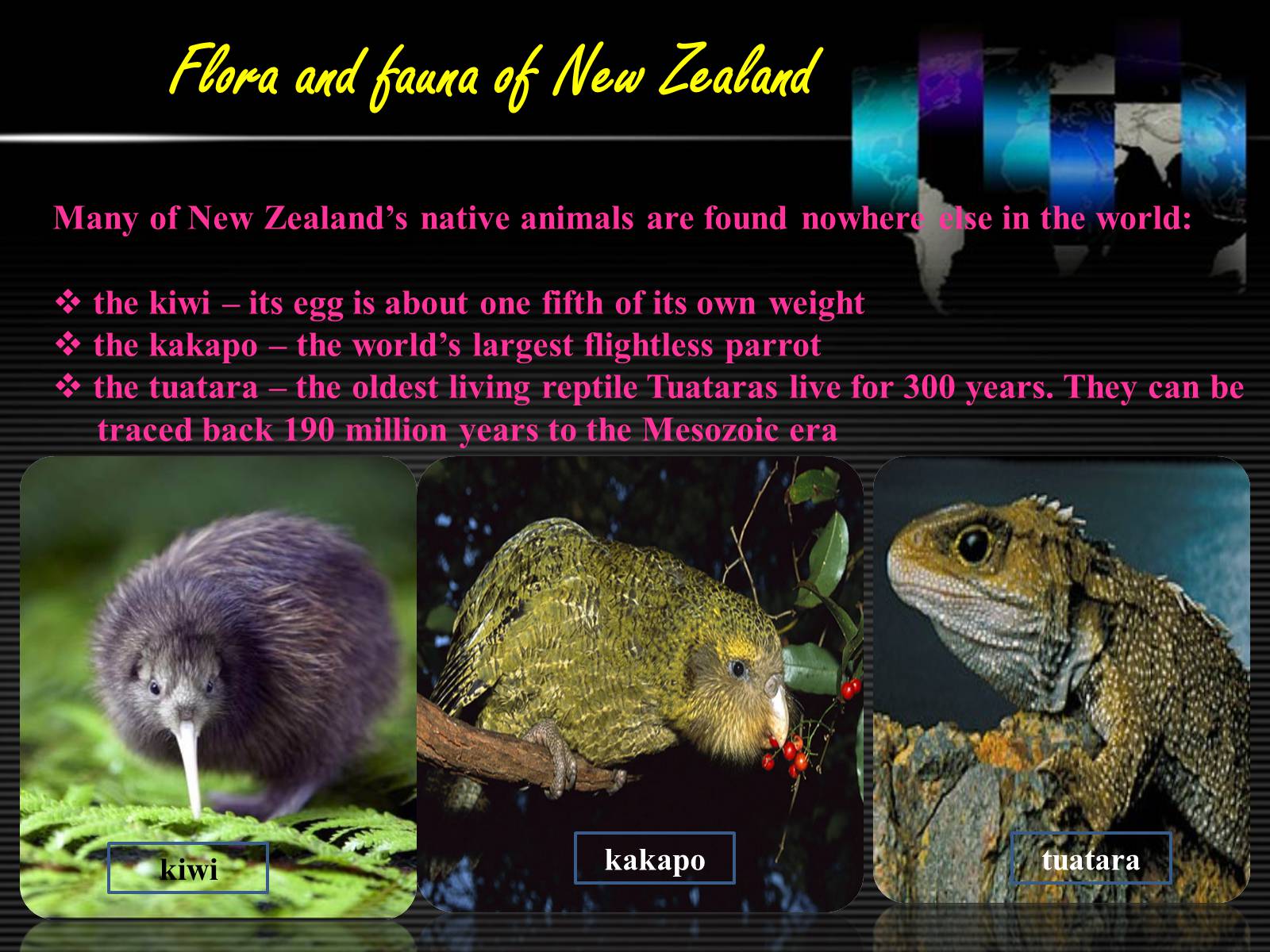 Презентація на тему «New Zealand» (варіант 6) - Слайд #9 Презентація на тему «New Zealand» (варіант 6) - Слайд #9