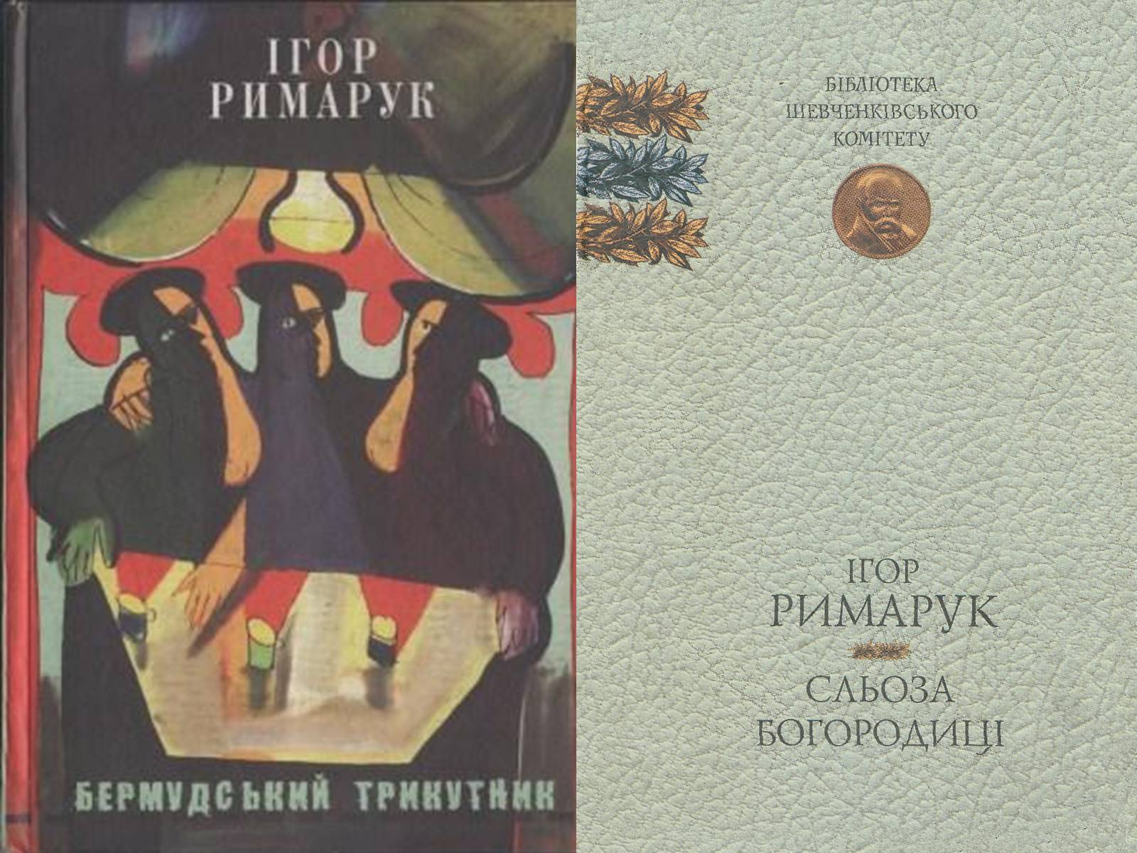 Презентація на тему «Ігор Римарук» (варіант 2) - Слайд #6 Презентація на тему «Ігор Римарук» (варіант 2) - Слайд #6