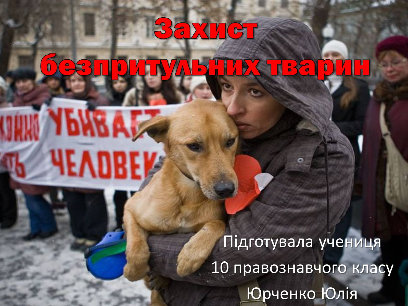 Презентація на тему «Захист безпритульних тварин» - Слайд #1 Презентація на тему «Захист безпритульних тварин» - Слайд #1