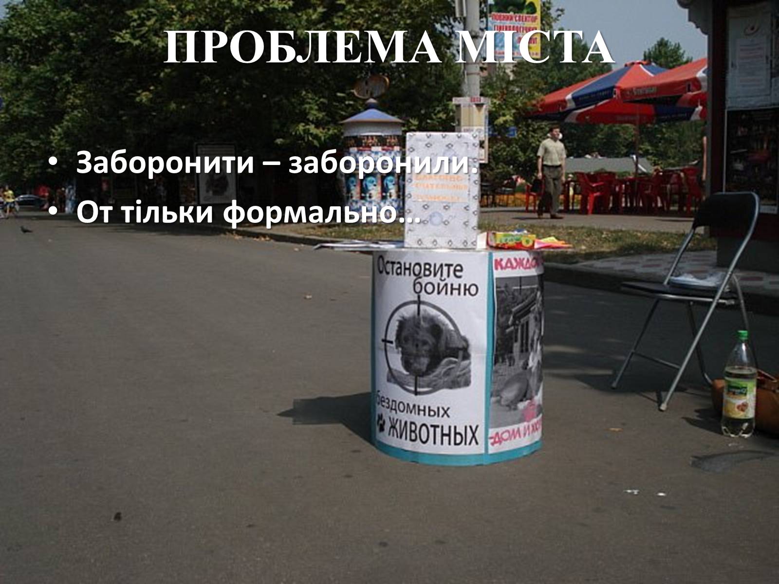 Презентація на тему «Захист безпритульних тварин» - Слайд #12 Презентація на тему «Захист безпритульних тварин» - Слайд #12