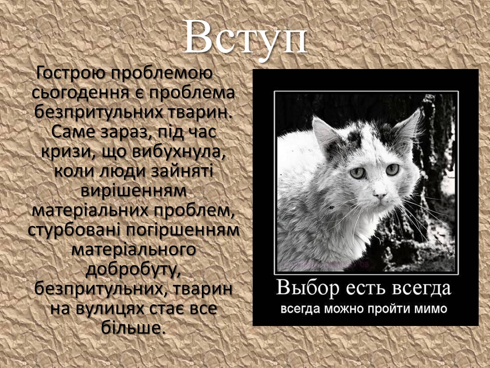 Презентація на тему «Захист безпритульних тварин» - Слайд #2 Презентація на тему «Захист безпритульних тварин» - Слайд #2