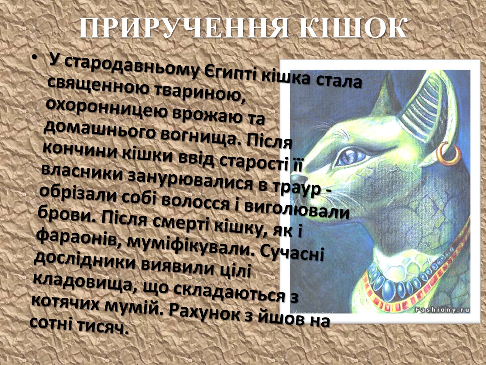 Презентація на тему «Захист безпритульних тварин» - Слайд #4 Презентація на тему «Захист безпритульних тварин» - Слайд #4