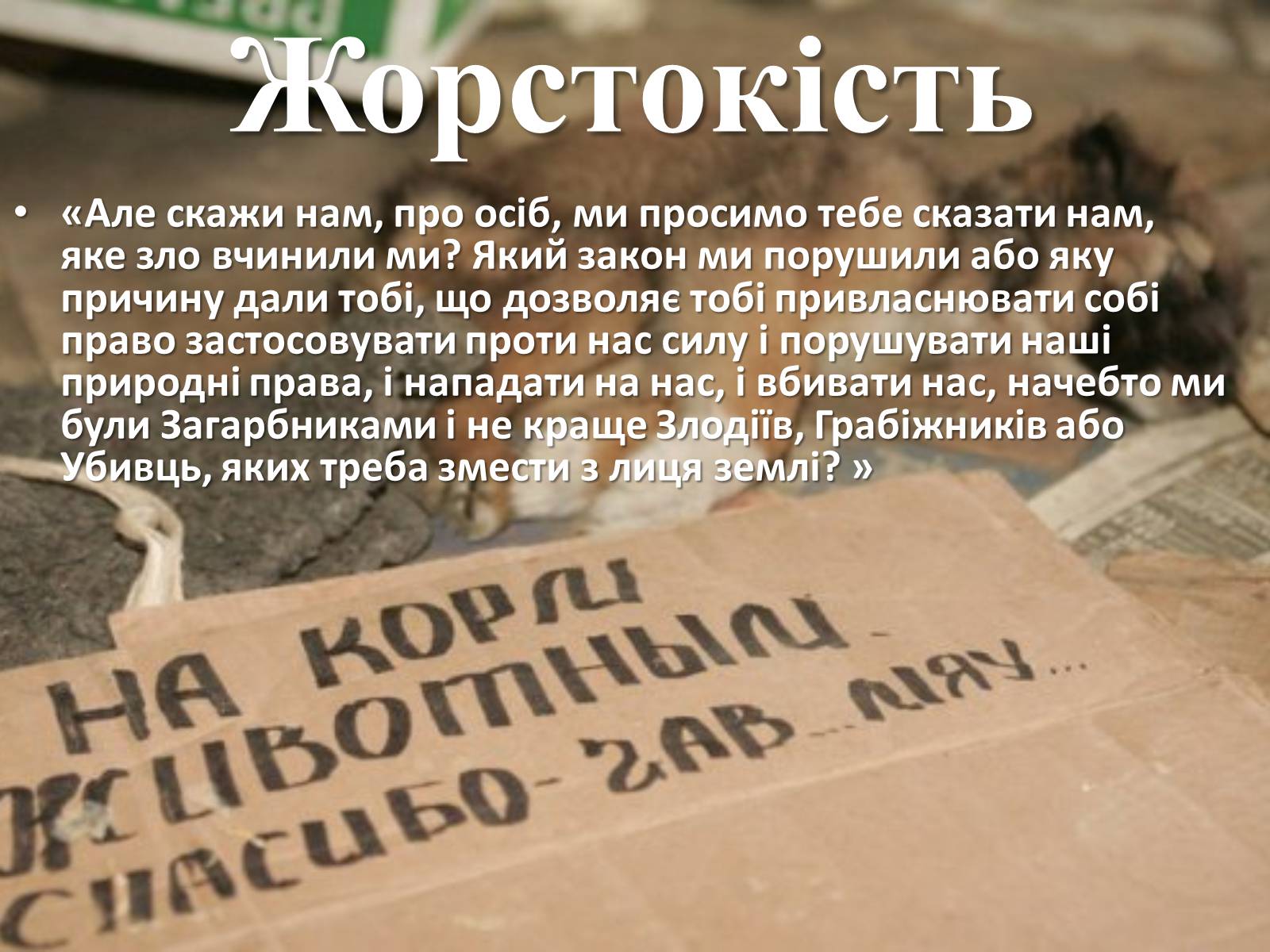 Презентація на тему «Захист безпритульних тварин» - Слайд #8 Презентація на тему «Захист безпритульних тварин» - Слайд #8