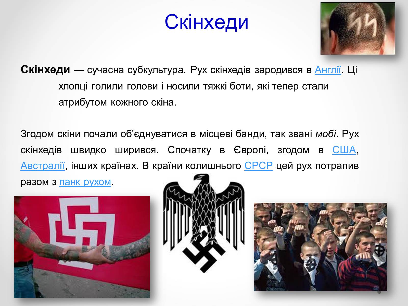 Презентація на тему «Молодіжні субкультури» (варіант 12) - Слайд #8 Презентація на тему «Молодіжні субкультури» (варіант 12) - Слайд #8