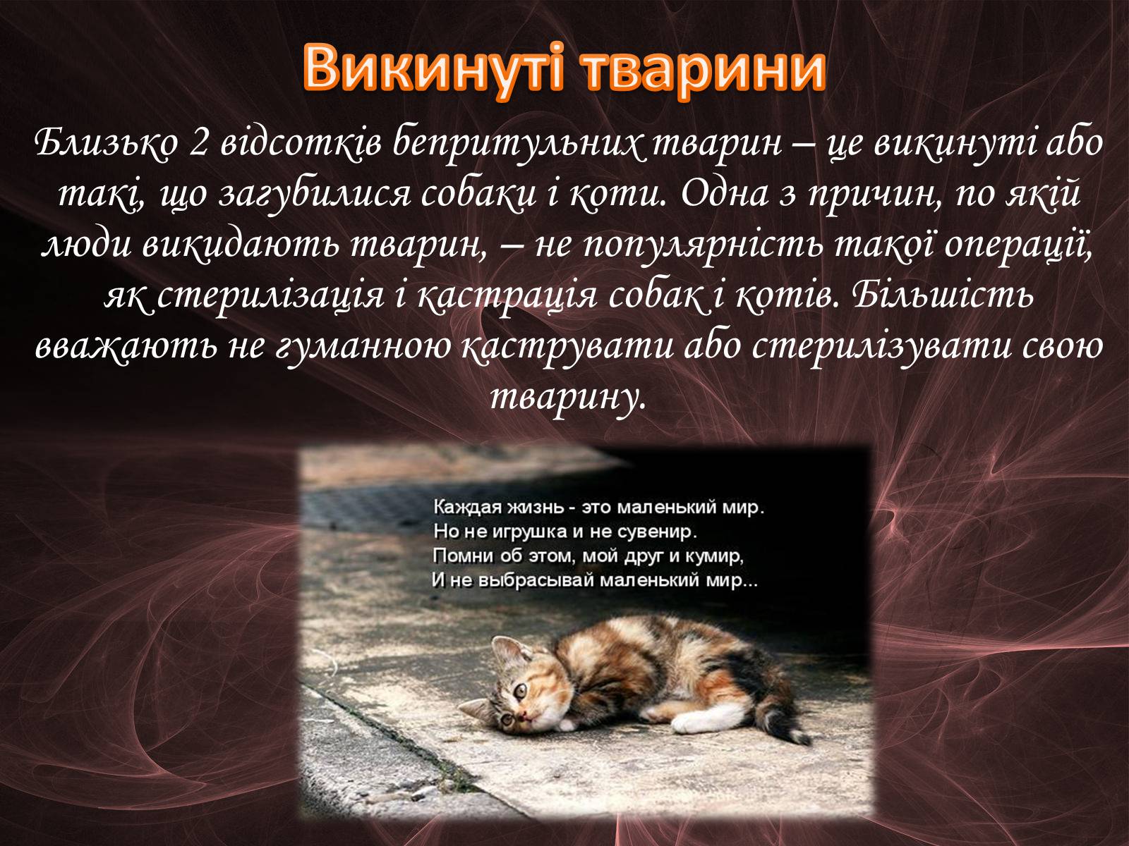 Презентація на тему «Проблема безпритульних тварин» - Слайд #15 Презентація на тему «Проблема безпритульних тварин» - Слайд #15