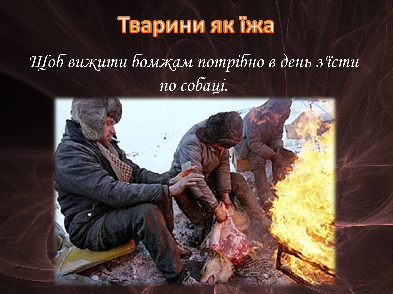 Презентація на тему «Проблема безпритульних тварин» - Слайд #16 Презентація на тему «Проблема безпритульних тварин» - Слайд #16