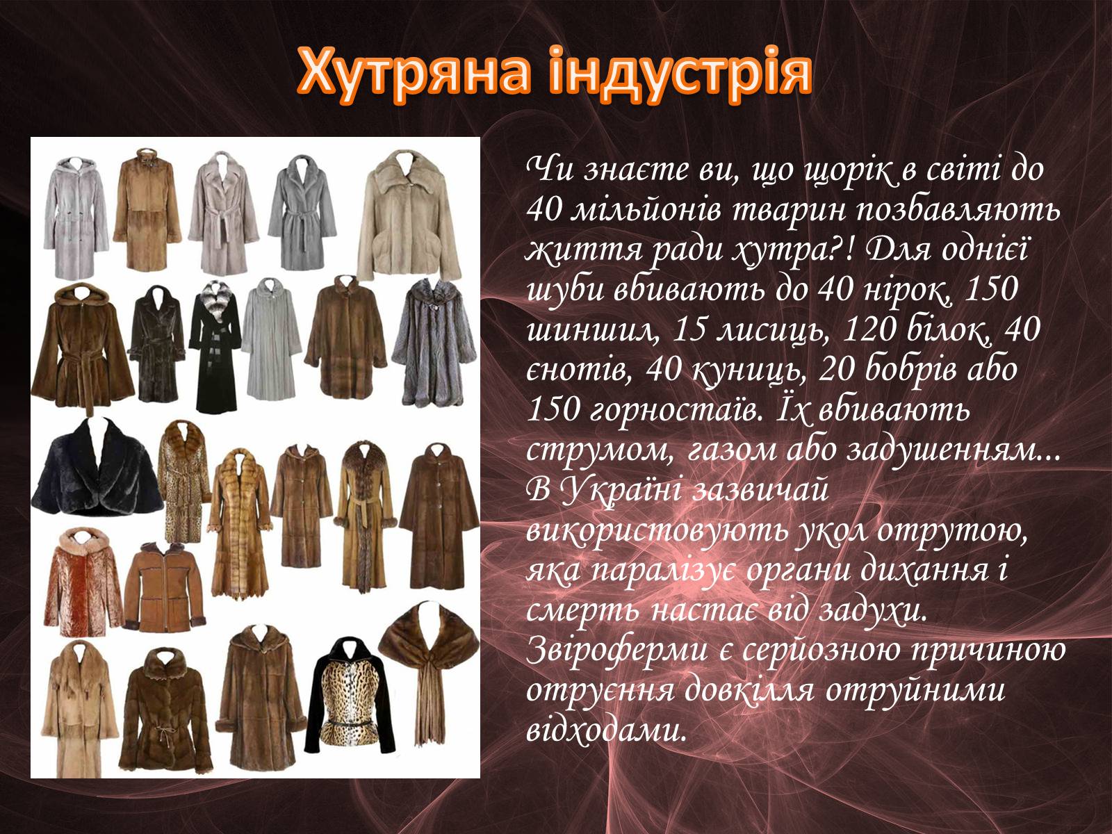 Презентація на тему «Проблема безпритульних тварин» - Слайд #24 Презентація на тему «Проблема безпритульних тварин» - Слайд #24