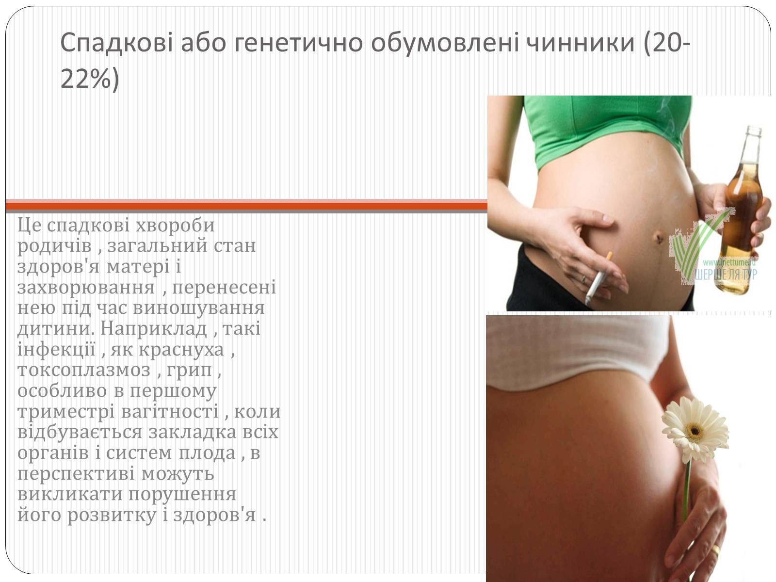 Презентація на тему «Вплив чинників на репродуктивне здоров’я людини» - Слайд #6 Презентація на тему «Вплив чинників на репродуктивне здоров’я людини» - Слайд #6
