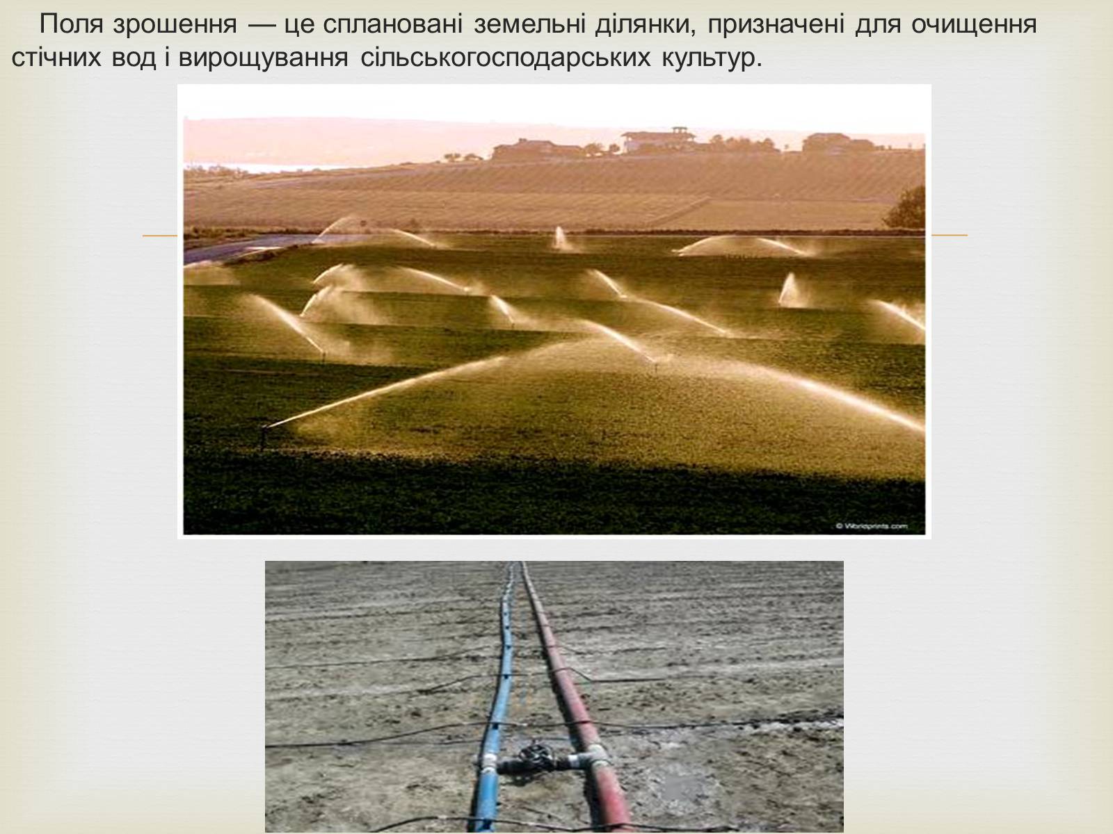 Презентація на тему «Методи очищення стічних вод» - Слайд #11 Презентація на тему «Методи очищення стічних вод» - Слайд #11