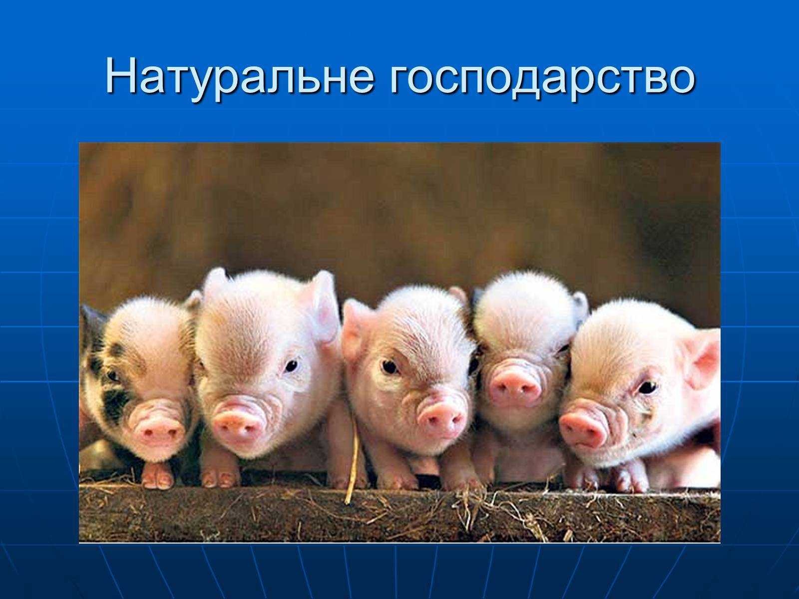 Презентація на тему «Натуральне господарство» - Слайд #11 Презентація на тему «Натуральне господарство» - Слайд #11