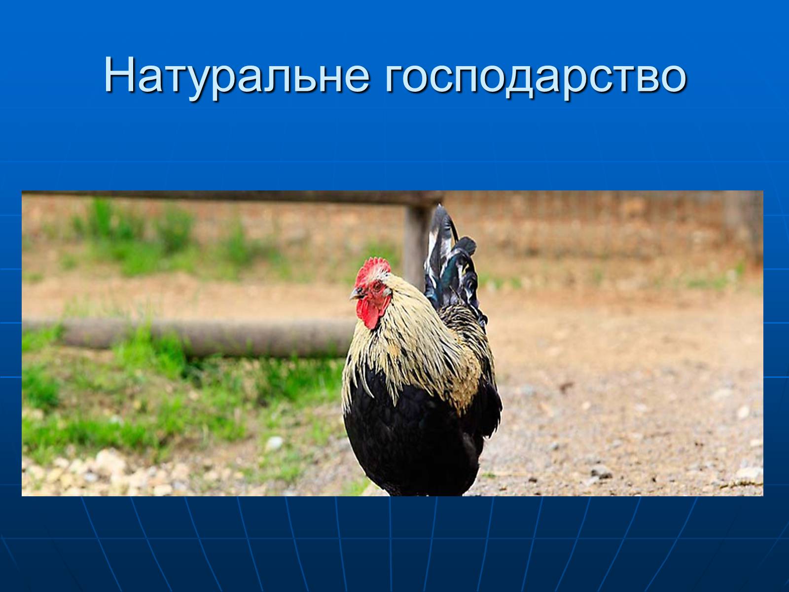 Презентація на тему «Натуральне господарство» - Слайд #5 Презентація на тему «Натуральне господарство» - Слайд #5