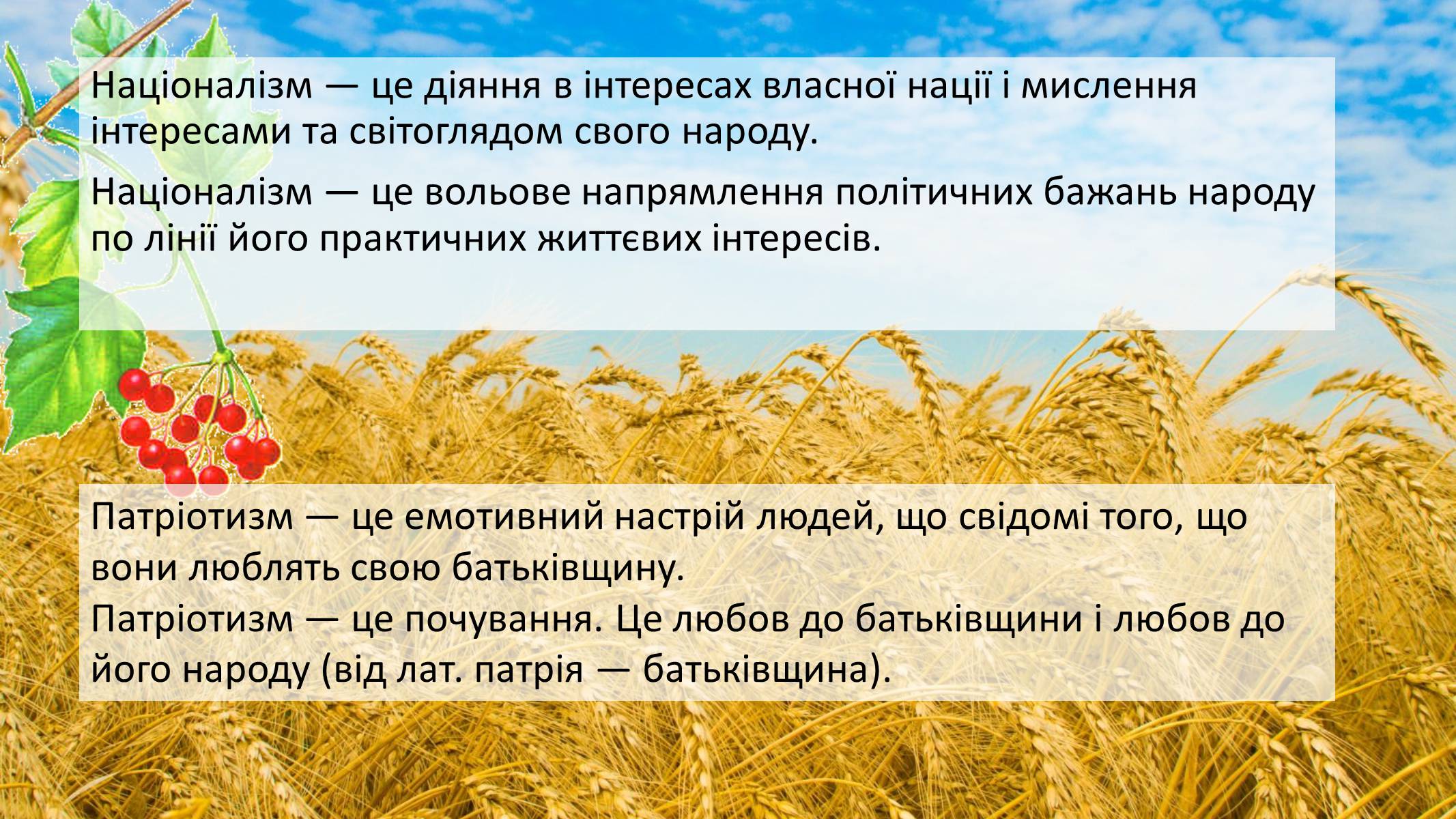 Презентація на тему «Націоналізм та Патріотизм» - Слайд #4 Презентація на тему «Націоналізм та Патріотизм» - Слайд #4