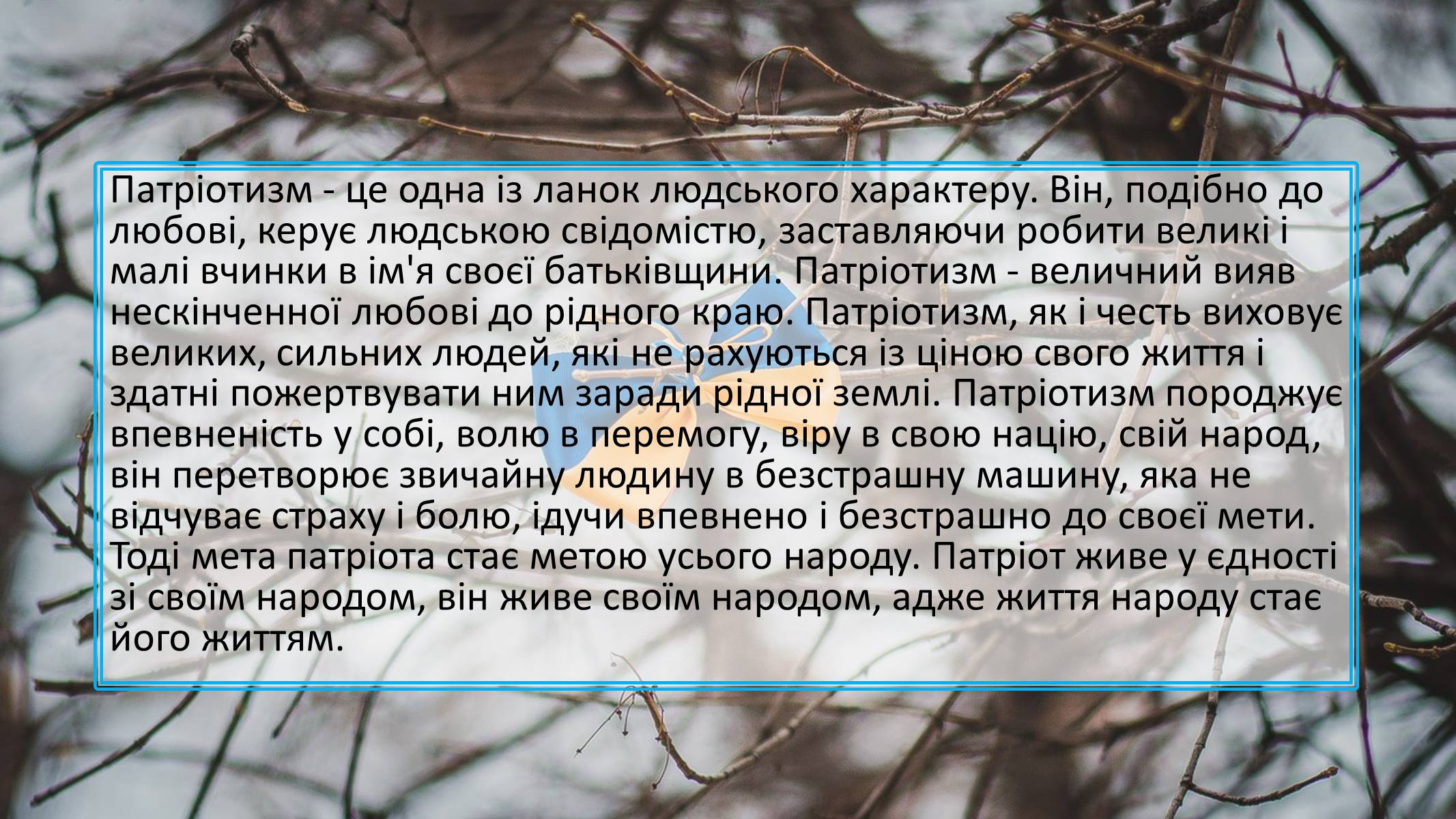 Презентація на тему «Націоналізм та Патріотизм» - Слайд #9 Презентація на тему «Націоналізм та Патріотизм» - Слайд #9